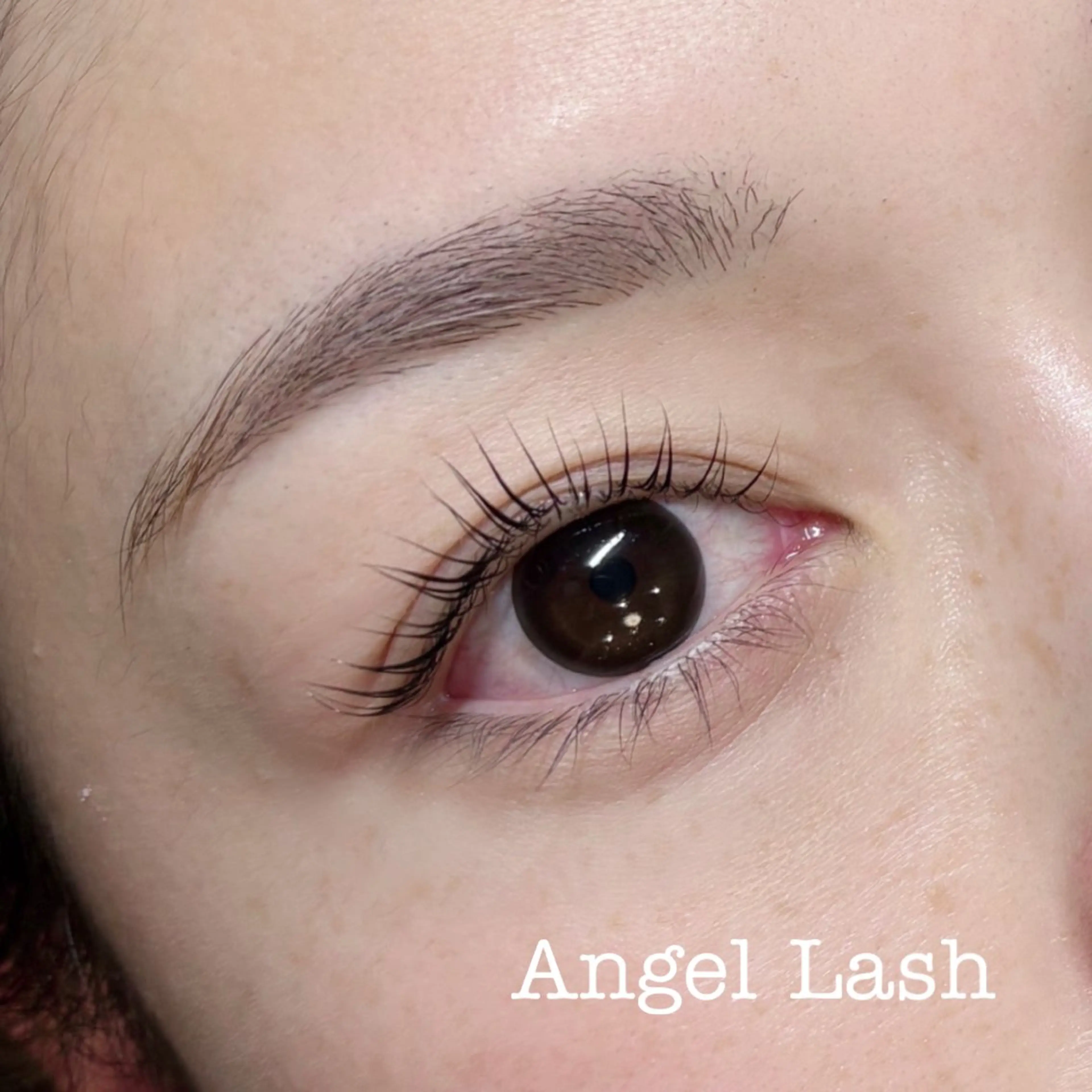 マツエク・マツパ パリジェンヌラッシュリフト AngleLash hayashiのマツエク・マツパデザイン