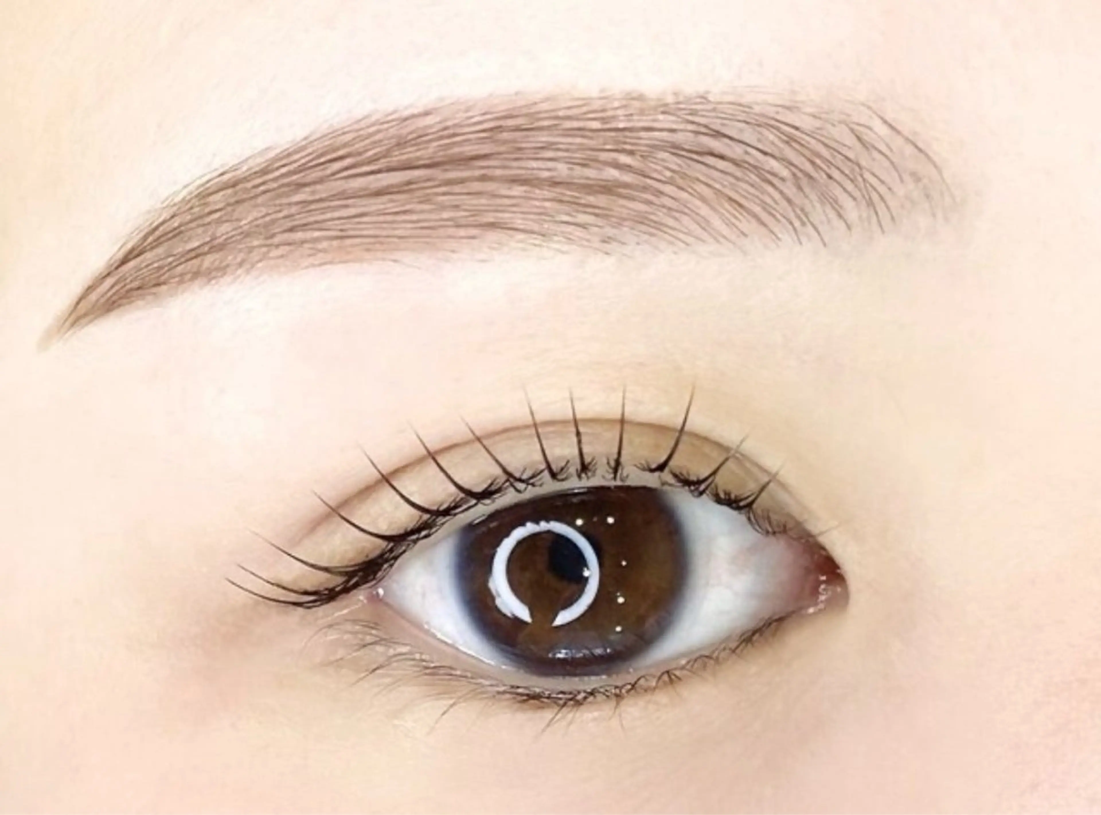 【まつ毛も眉毛も一度に】顔タイプ別似合わせパーマ＋美眉スタイリングの写真