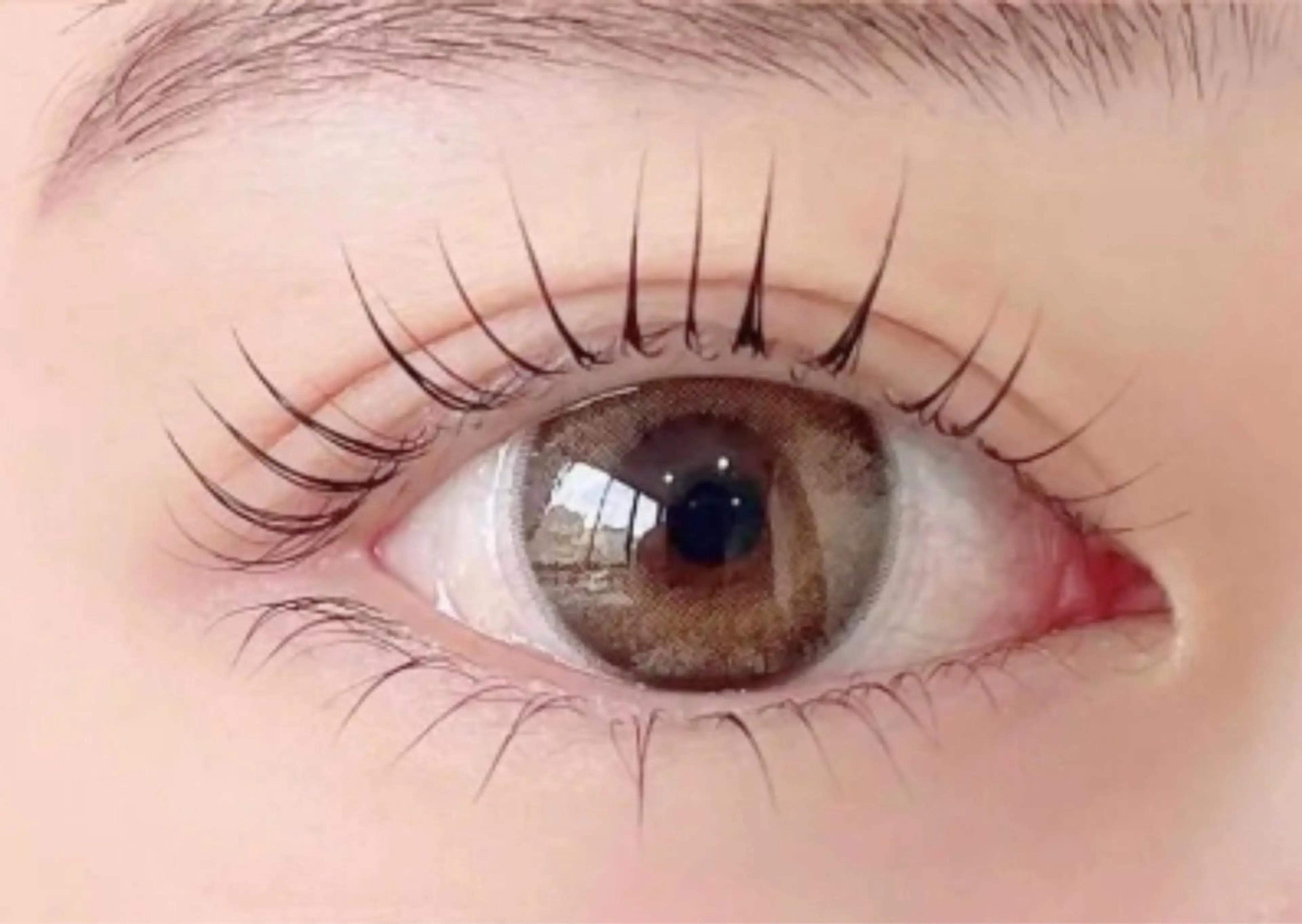 期間限定⭐︎フラットラッシュ100本の写真