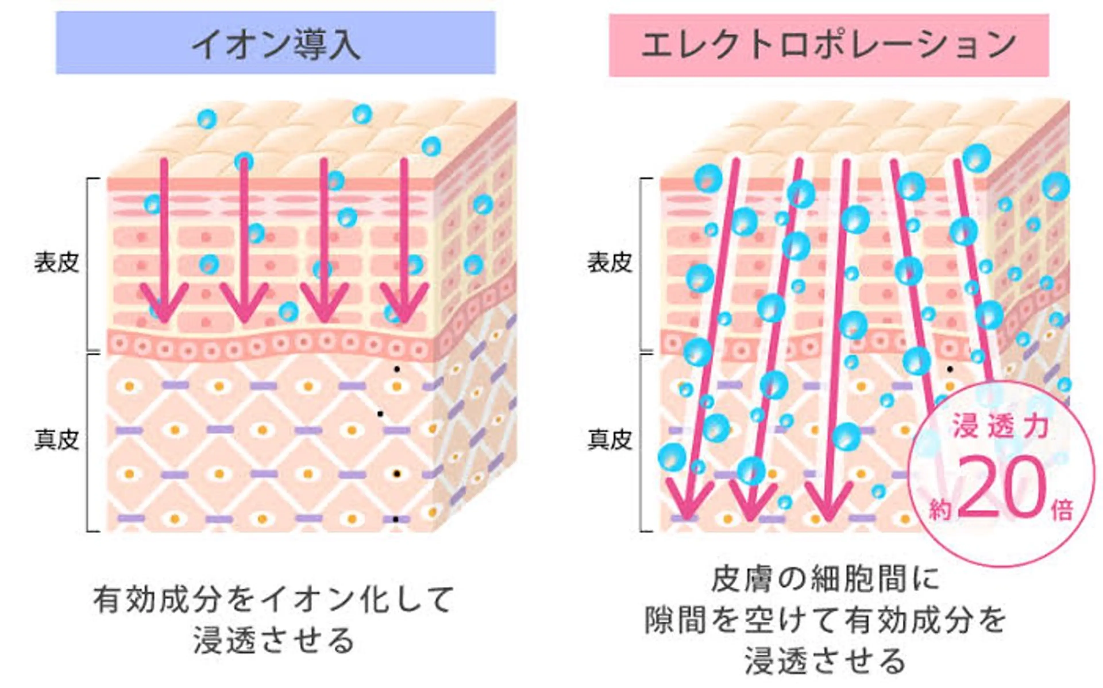 エステ リラク 韓国肌管理 【毛穴専科】のエステ・リラクイメージ