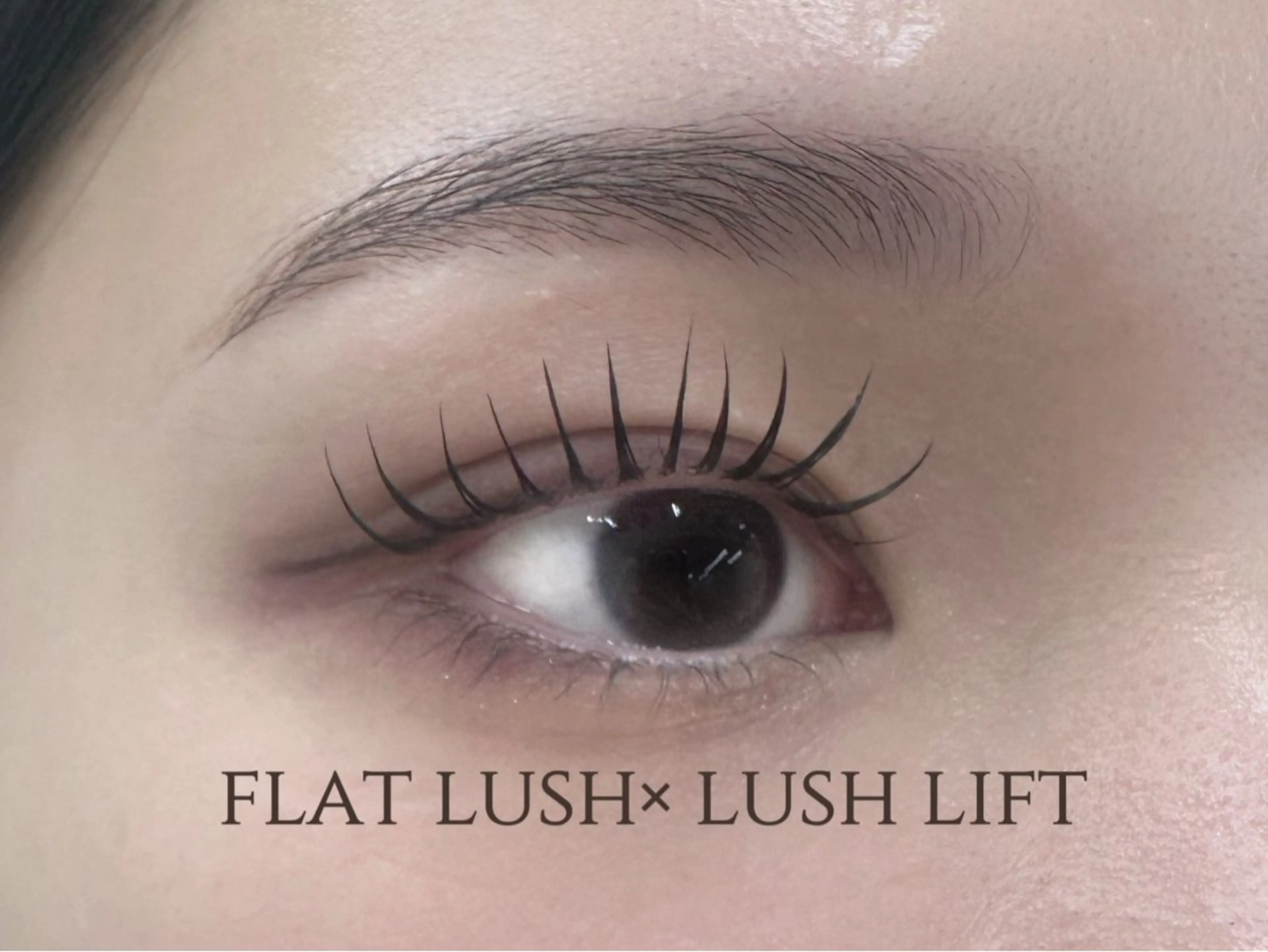 マツエク・マツパ alice tokyo🌿鈴木のマツエク・マツパデザイン