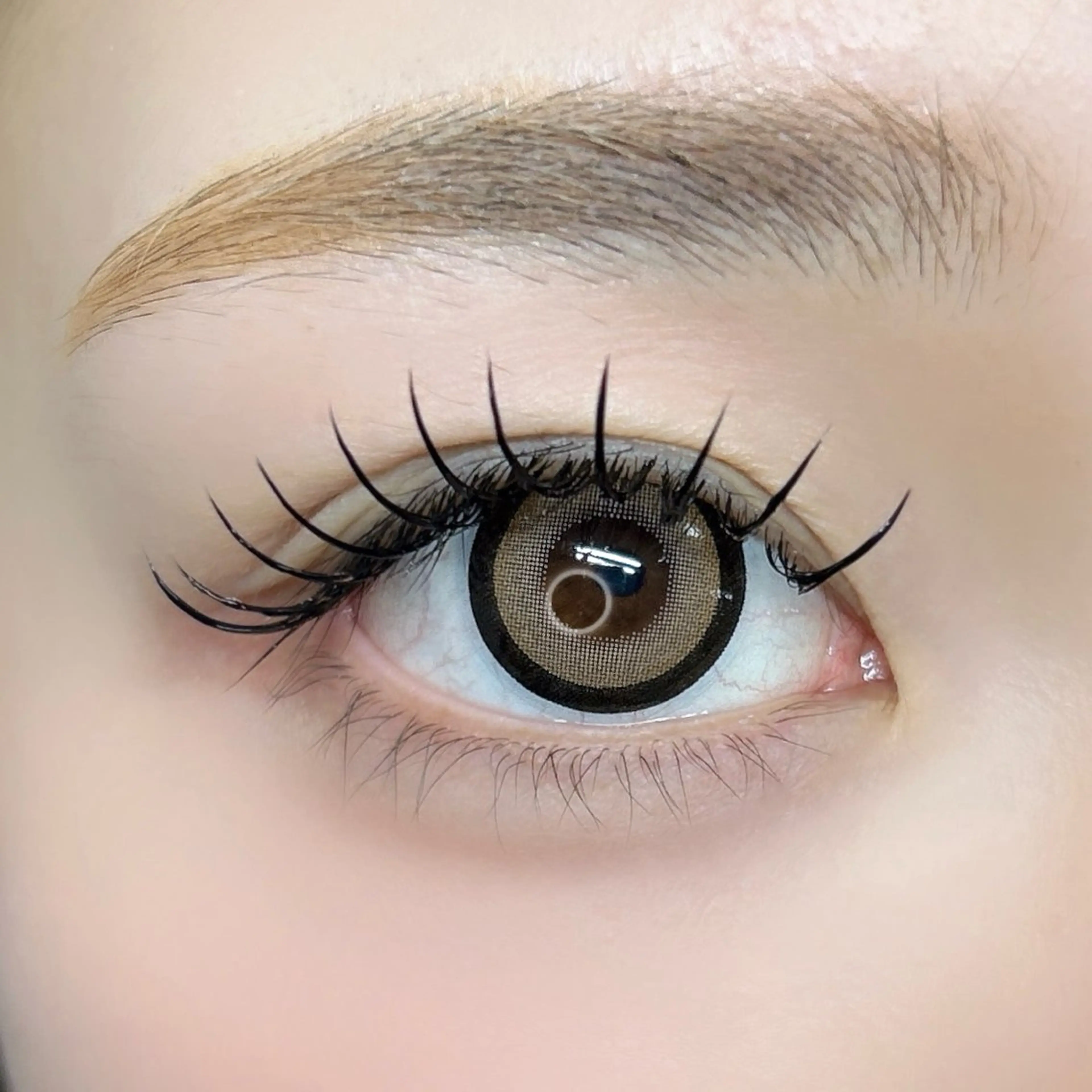 【初回​〜​2回目まで】フラットラッシュ120本 ¥4700 コーティング付き✨の写真