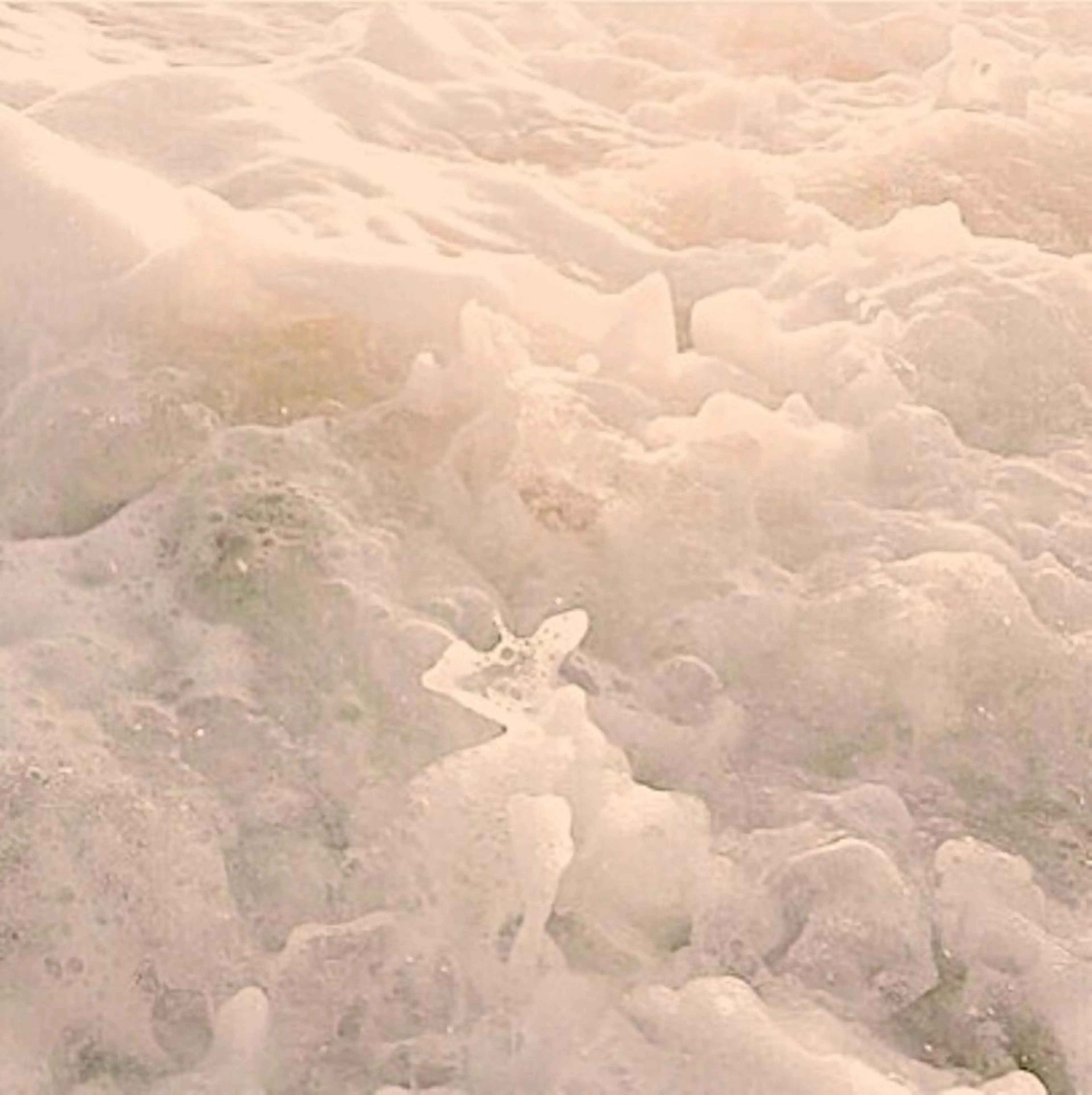 ネイル オフのみ(ネイル) nail RINAのネイルデザイン