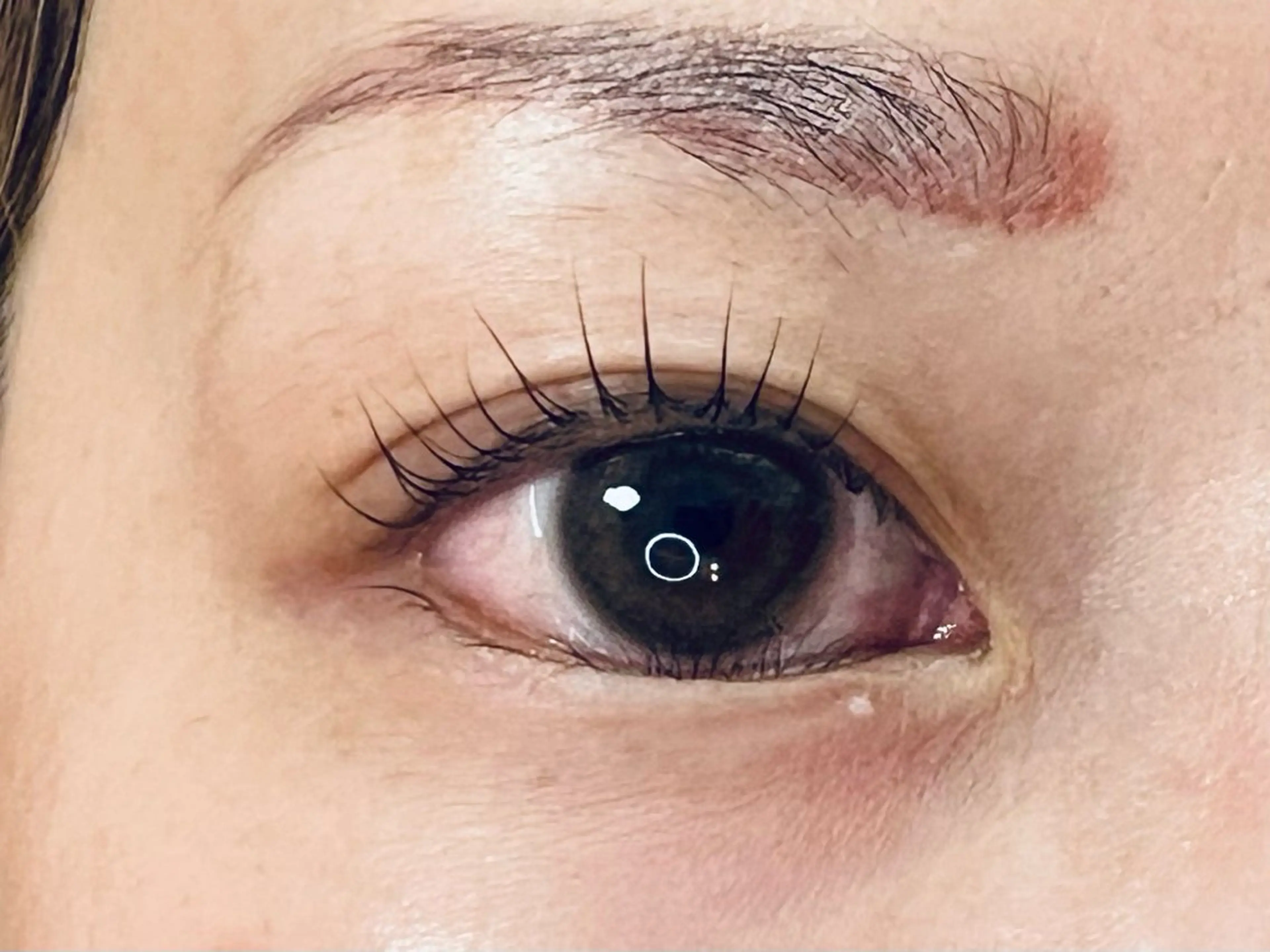 マツエク・マツパ Rimona tomomiのマツエク・マツパデザイン