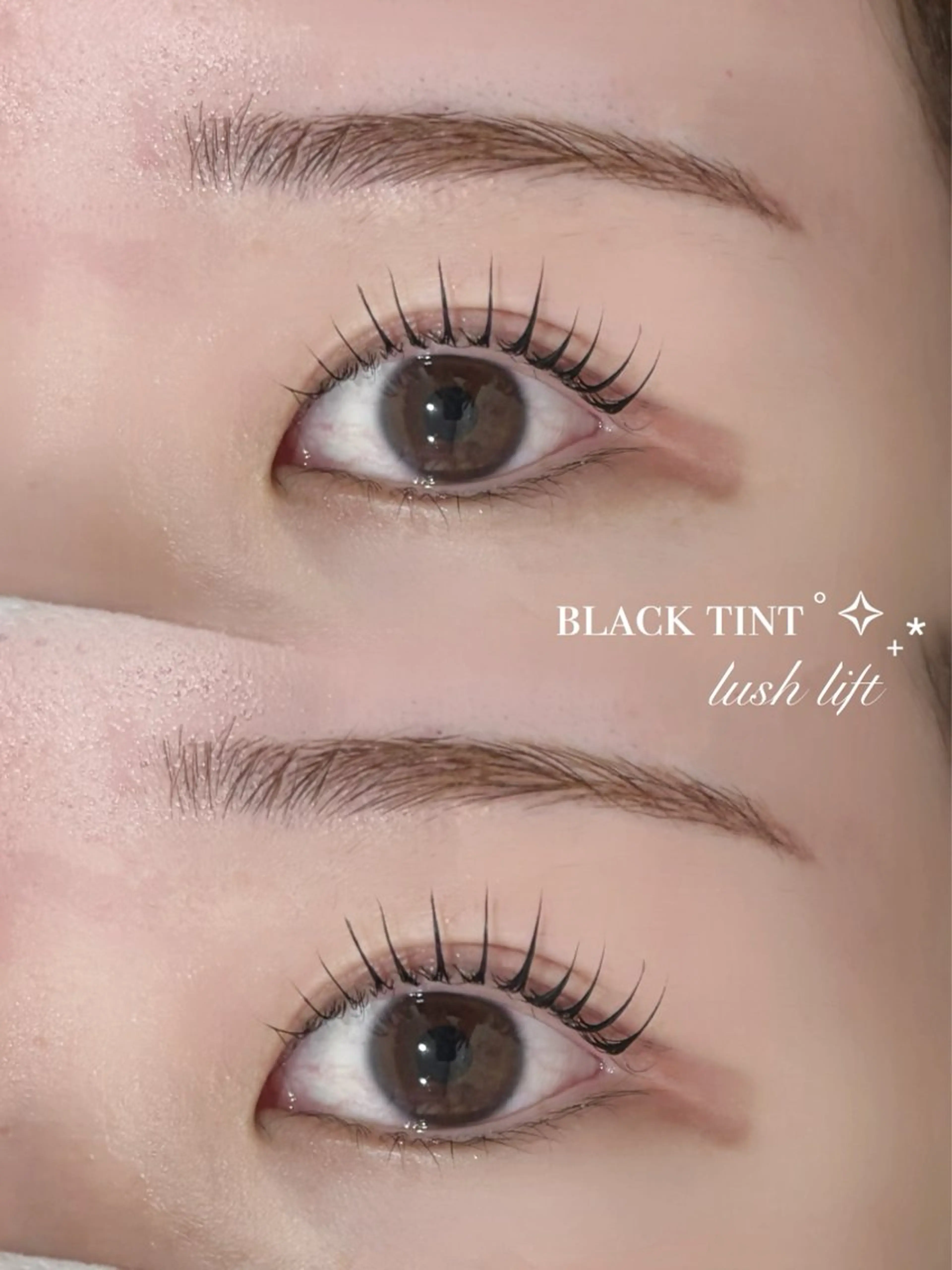 【ご新規様🎀】マスカラパーマ🇰🇷🤍の写真