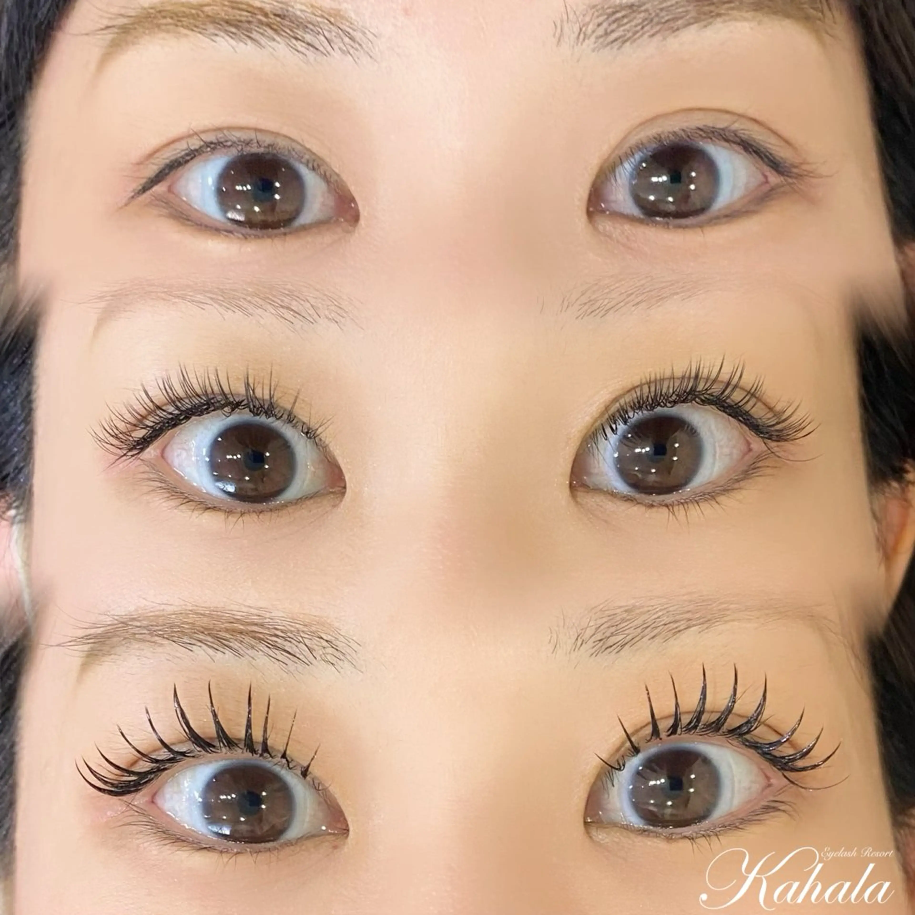 アンドヘルシー💗(マツエク120本まで×マツパ)の写真