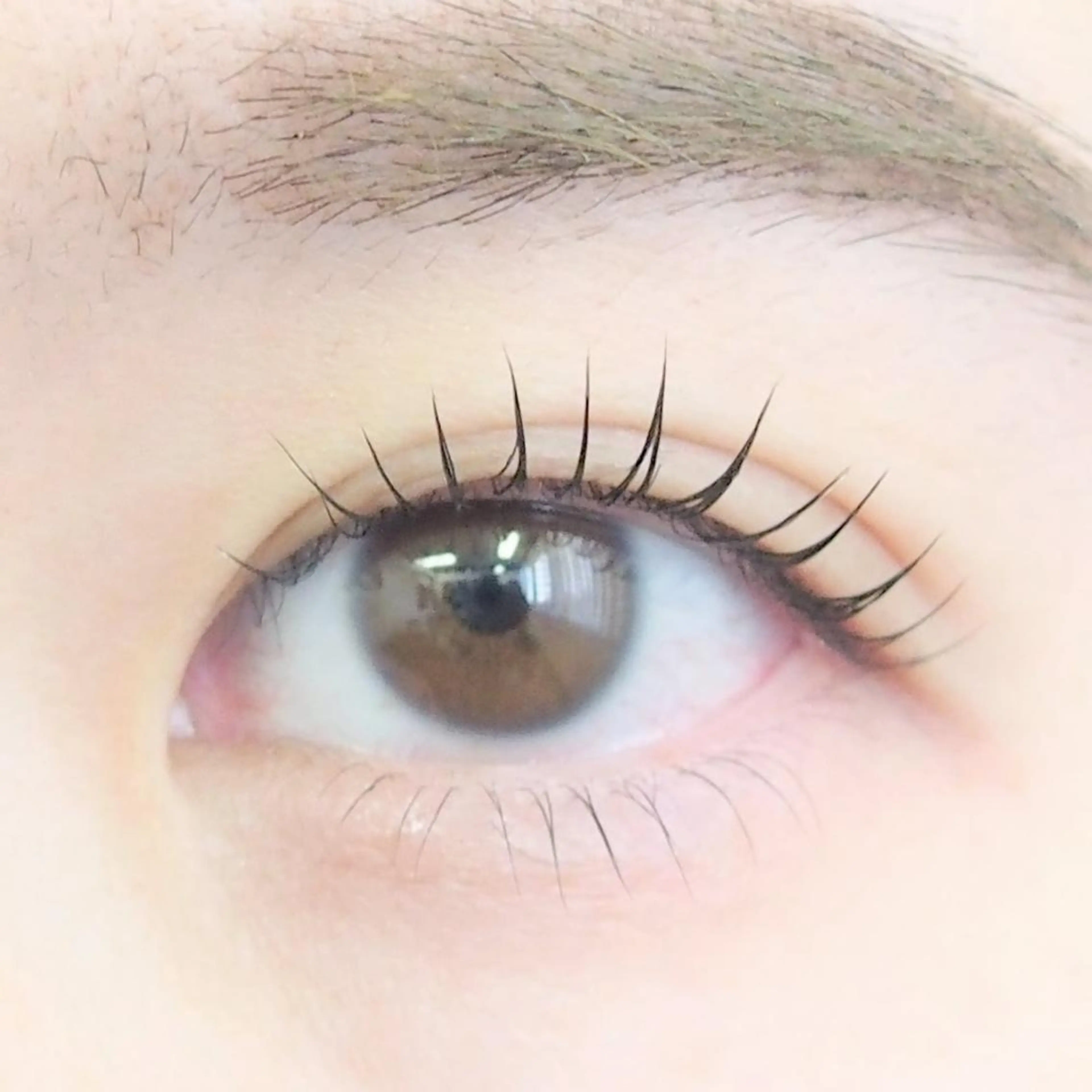 ６週間以内の再来ﾀﾞﾒ-ｼﾞﾚｽｶ-ﾙﾗｯｼｭﾘﾌﾄ ｺｰﾃｨﾝｸﾞ付きの写真