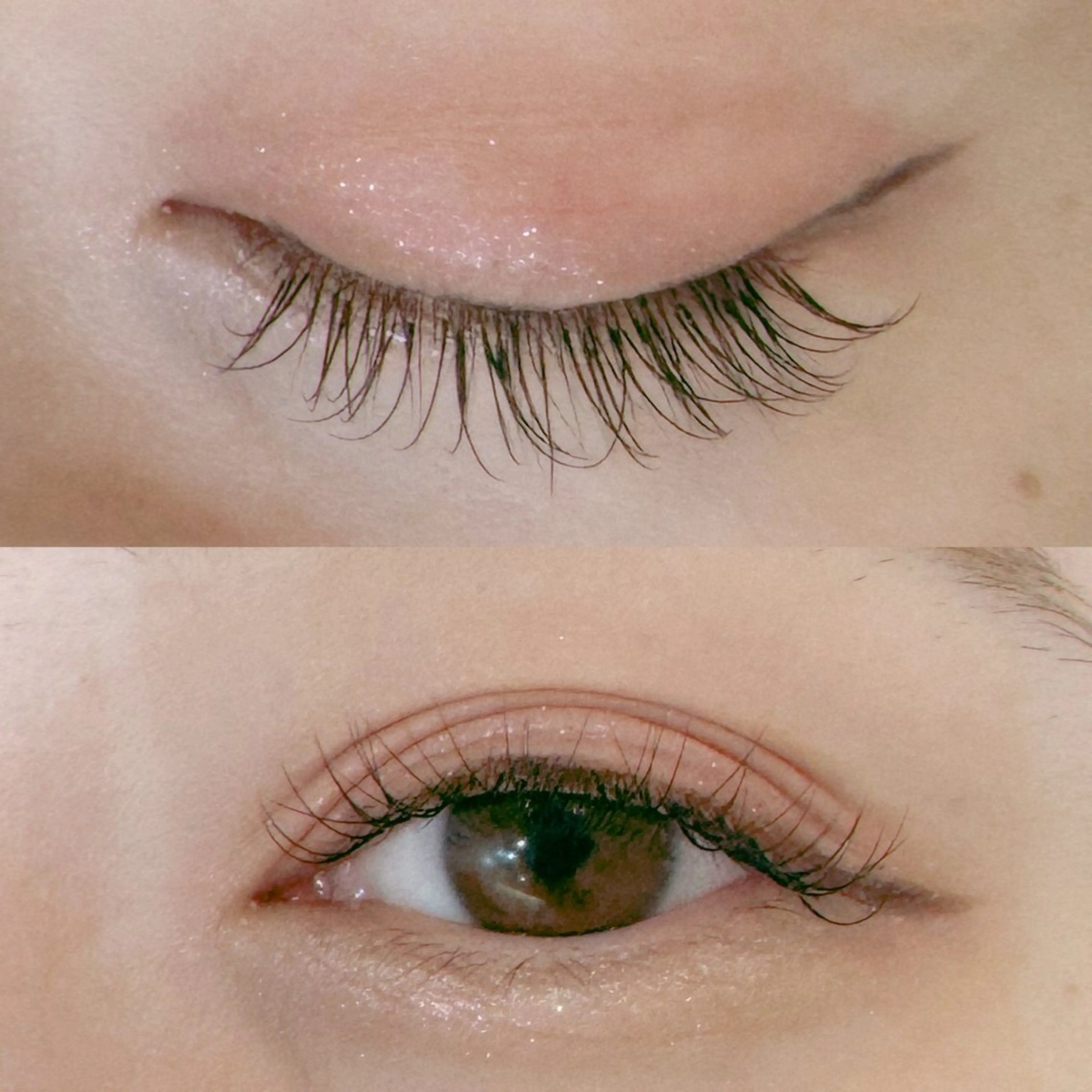 マツエク・マツパ ナチュラル 🐶 IZUMI 🐾のマツエク・マツパデザイン