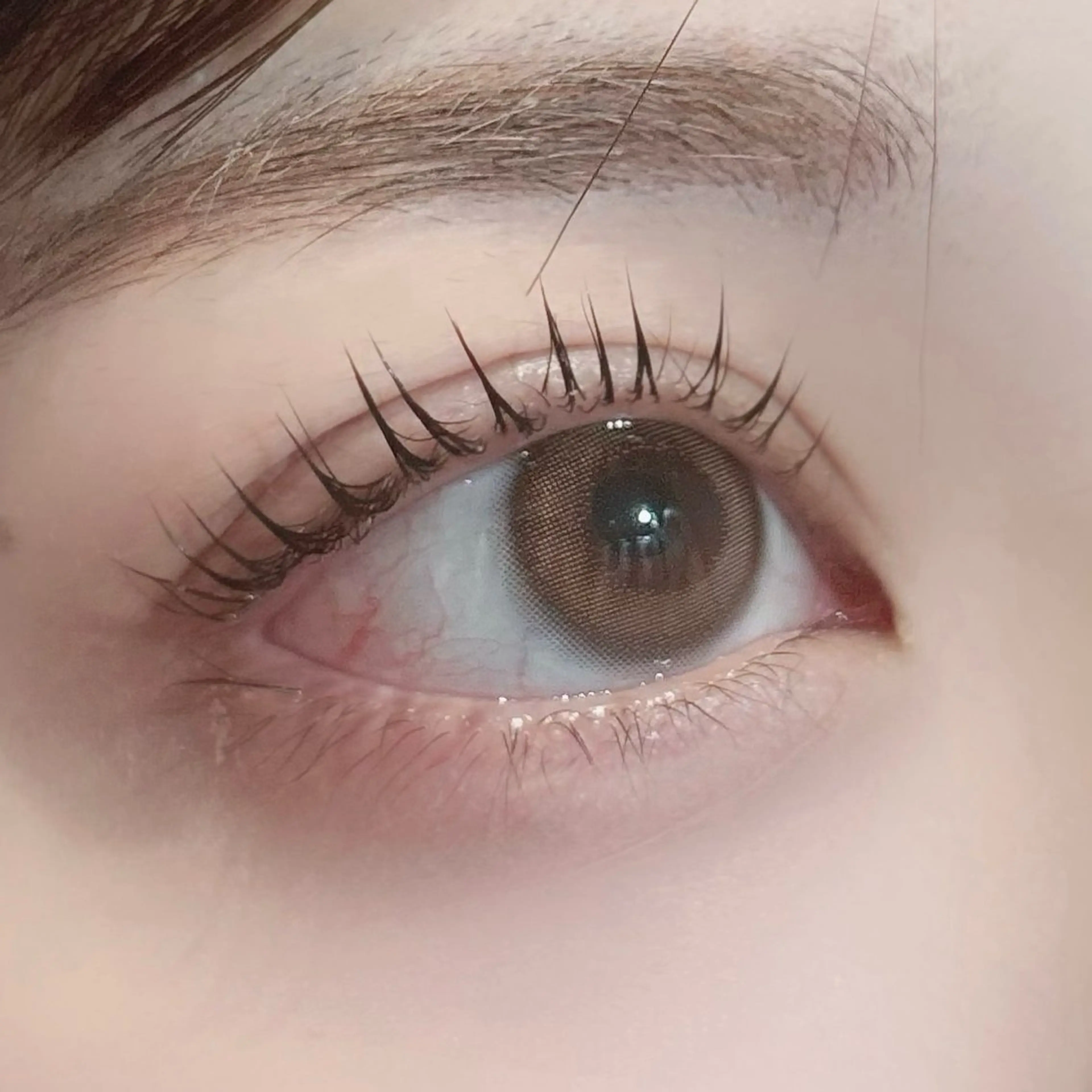 【学割U24】パリジェンヌラッシュリフトの写真