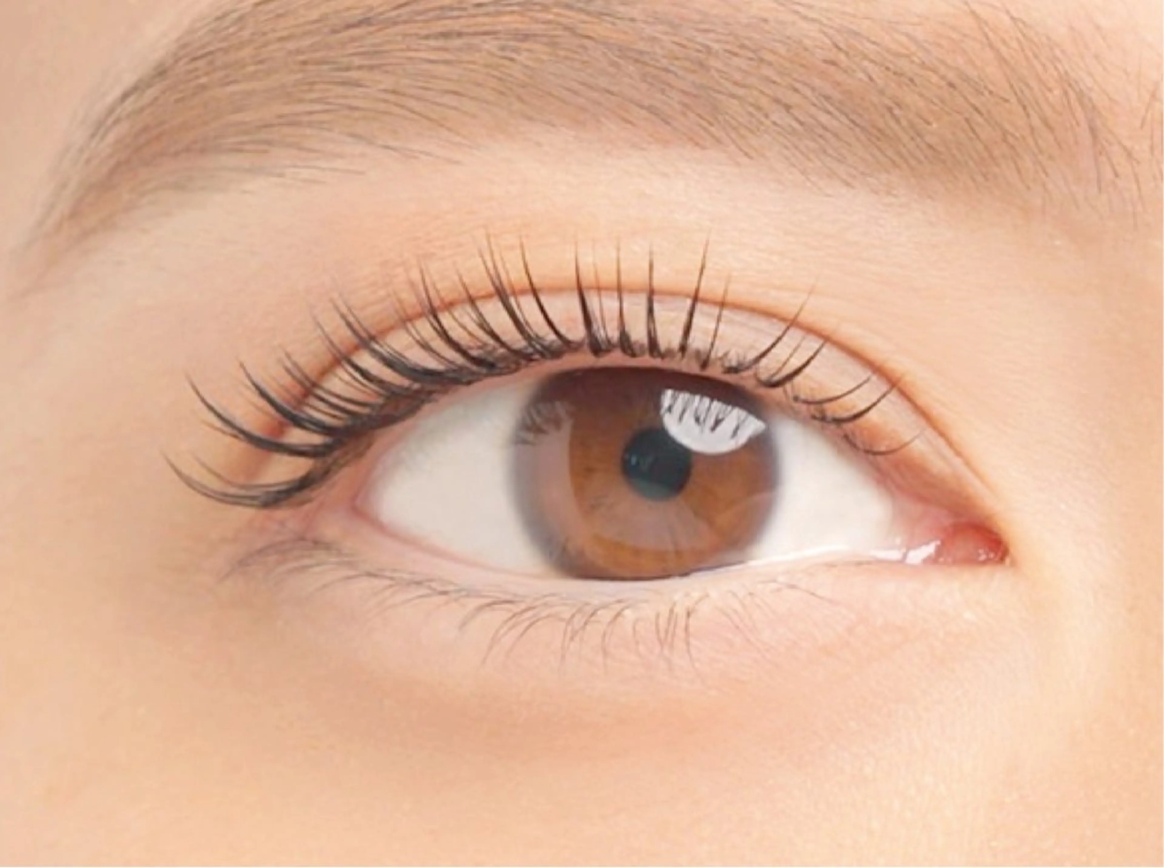 マツエク・マツパ マツパ luceat Rのマツエク・マツパデザイン