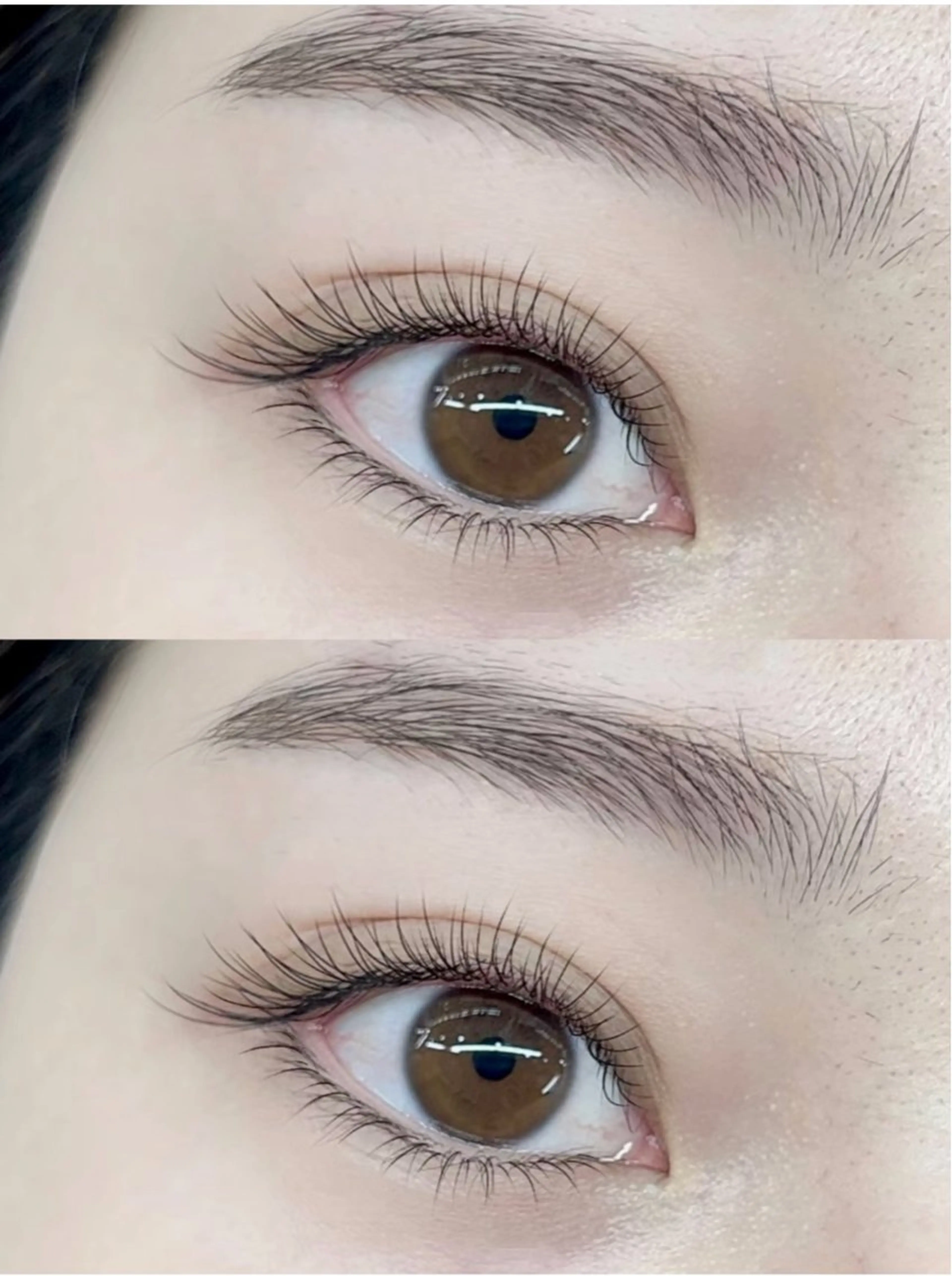 フラットラッシュ160本の写真