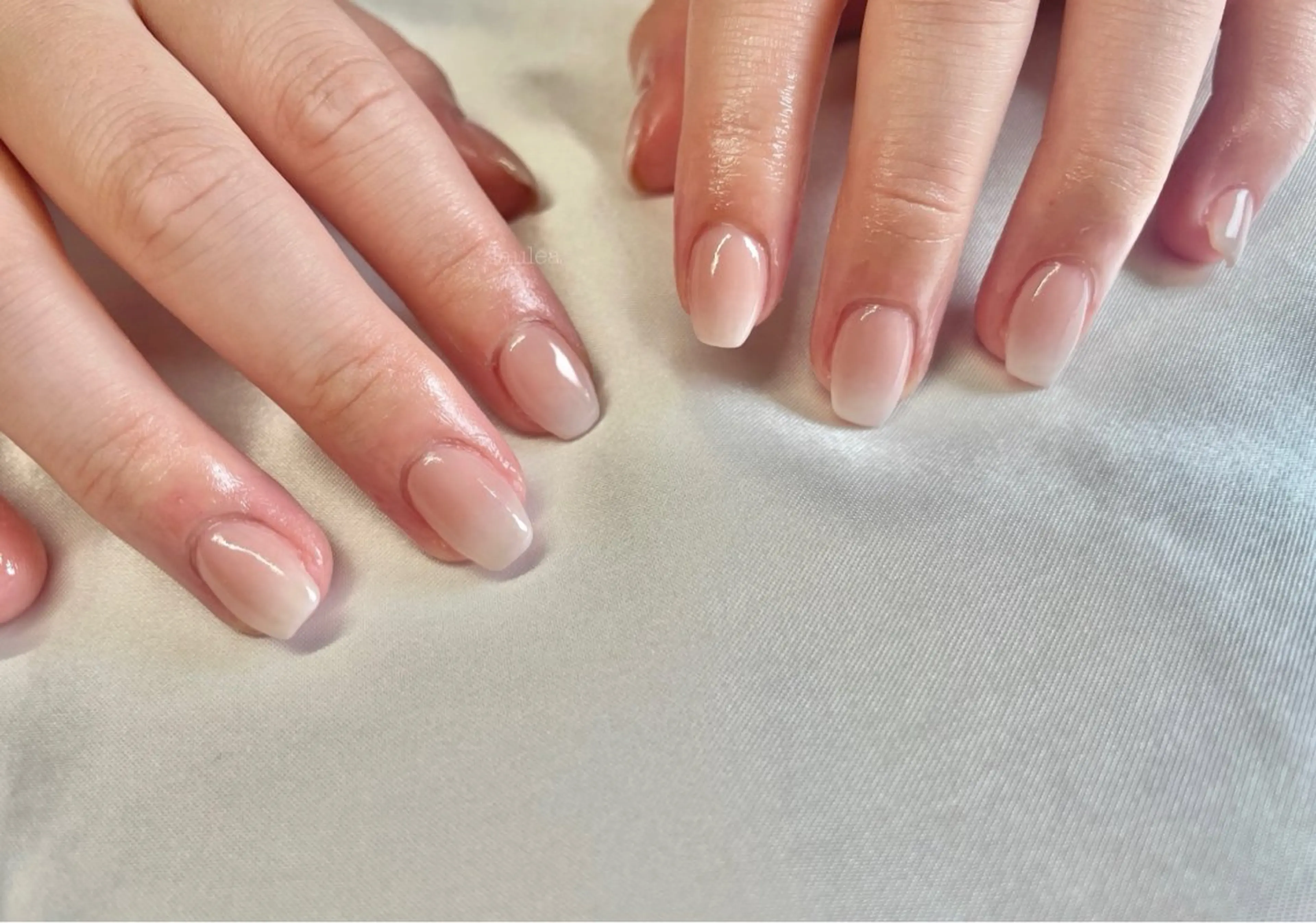 【hand/付替オフ無料】ベイビーブーマーの写真