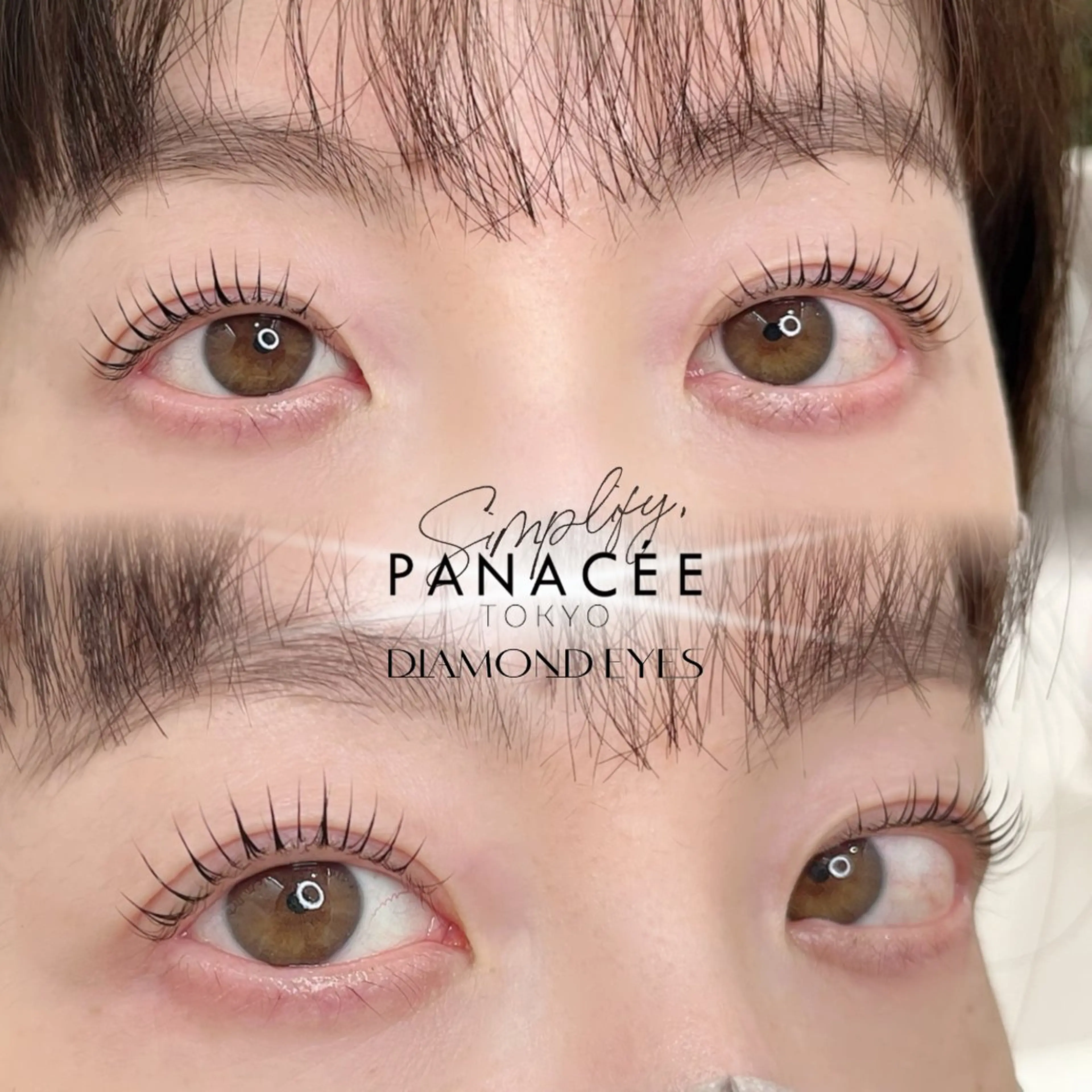 マツエク・マツパ Dカール まつげパーマ マツパ ニイナ🌼 まつパ/束感まつげのマツエク・マツパデザイン