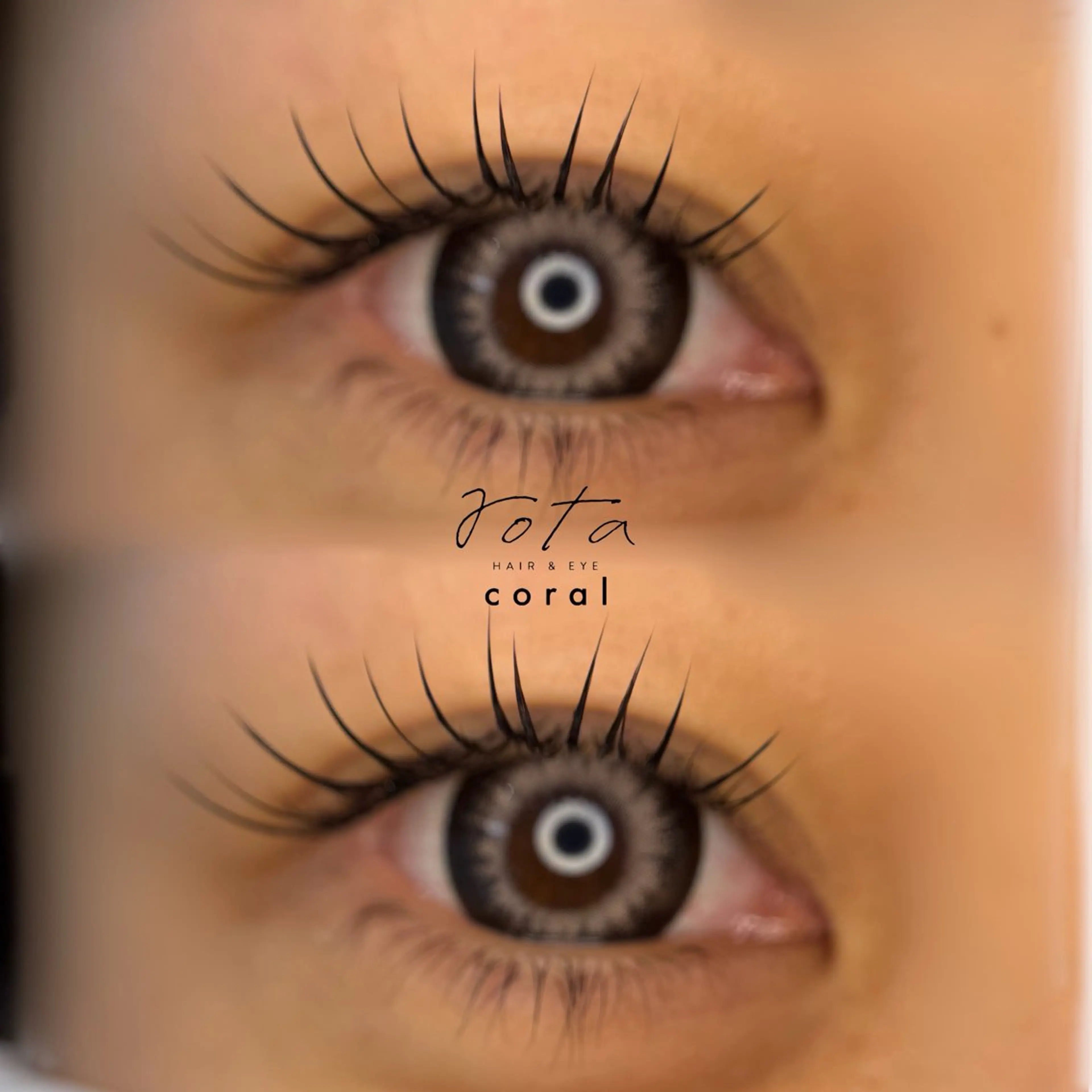 💚👀💚シングルラッシュ100本ご新規様限定。1000円。の写真