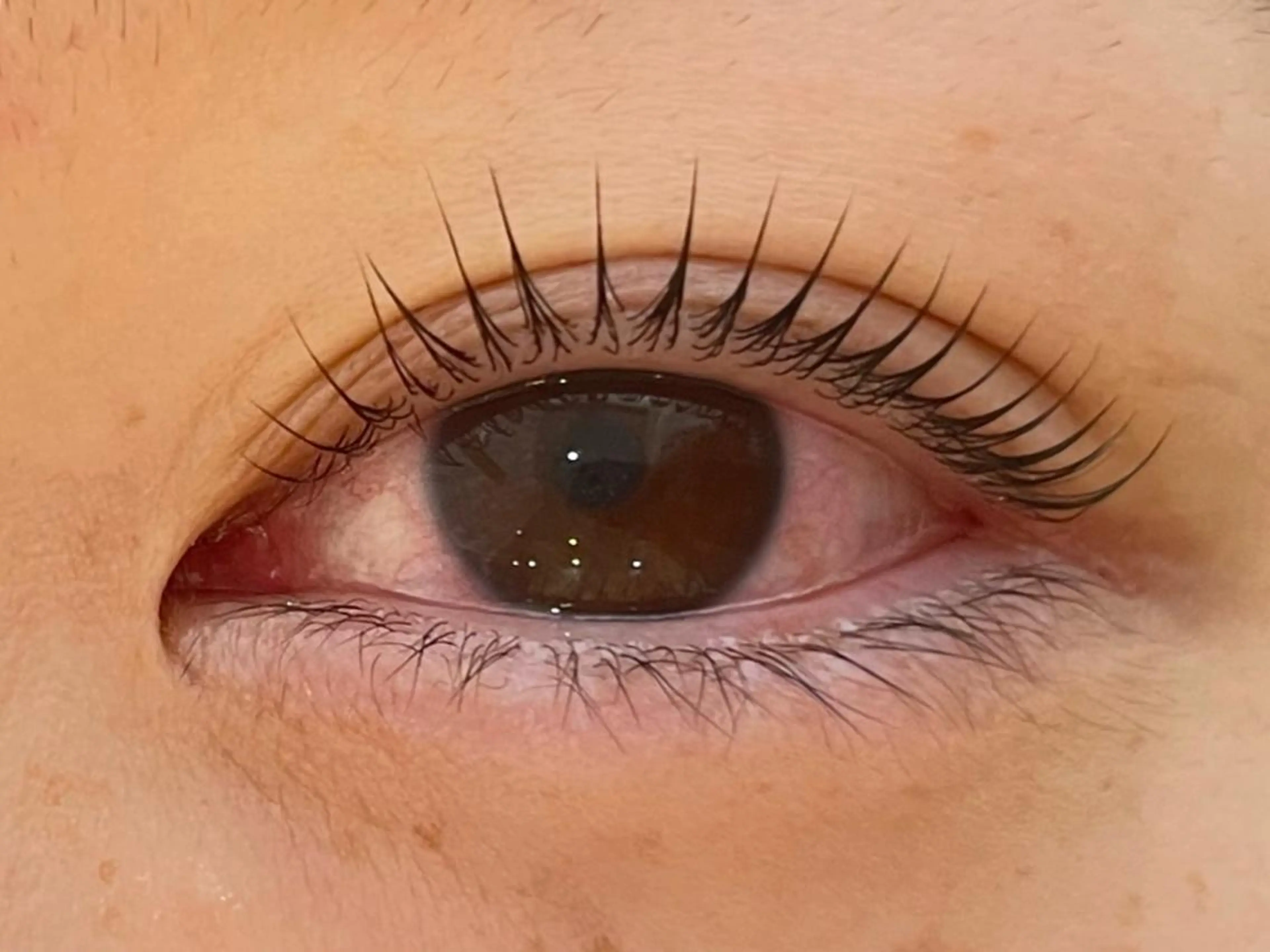 マツエク・マツパ パリジェンヌラッシュリフト anela MOMOKA🎀のマツエク・マツパデザイン