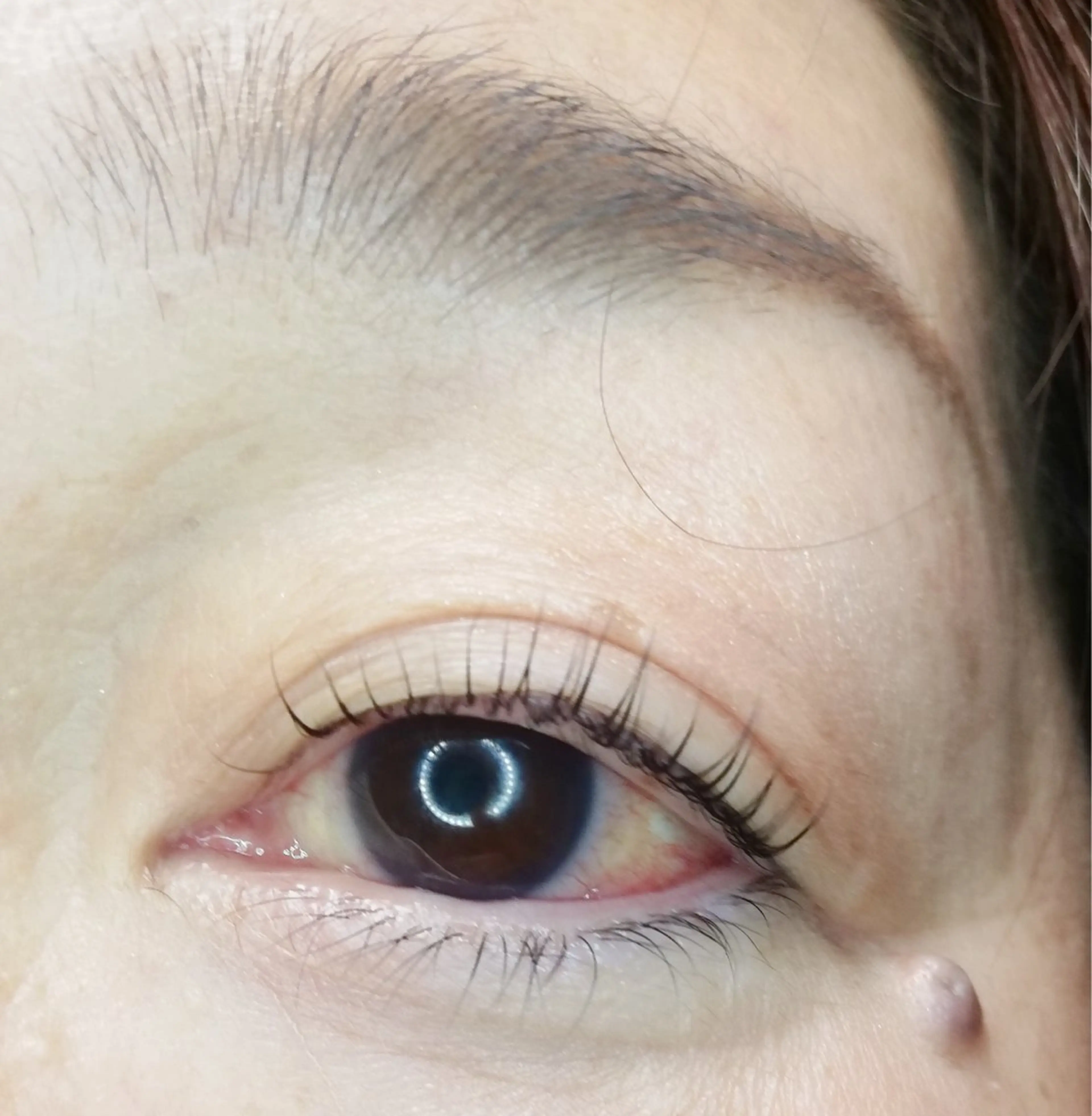 マツエク・マツパ まつげ専門 アデールのマツエク・マツパデザイン