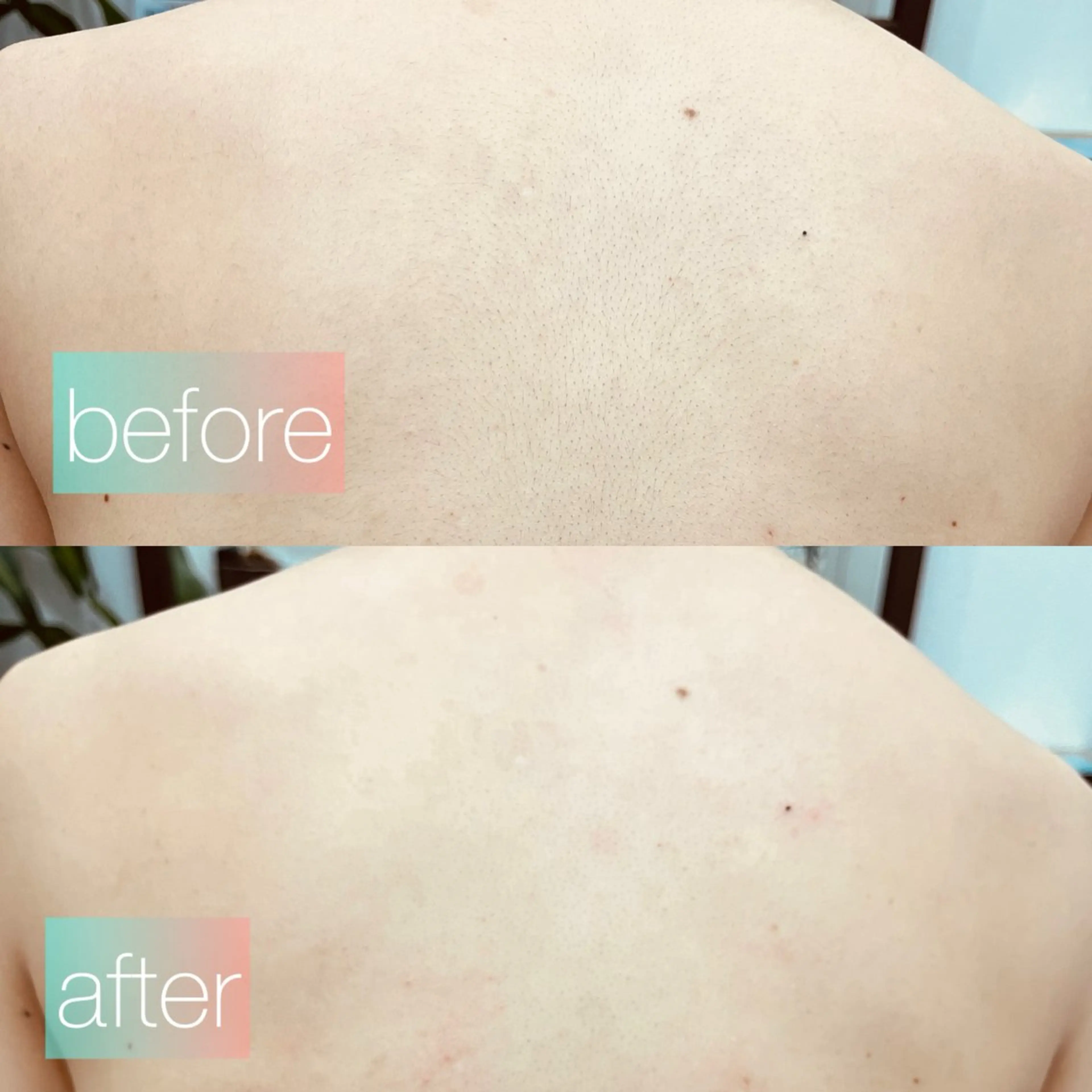 Neuf 安田のその他イメージ