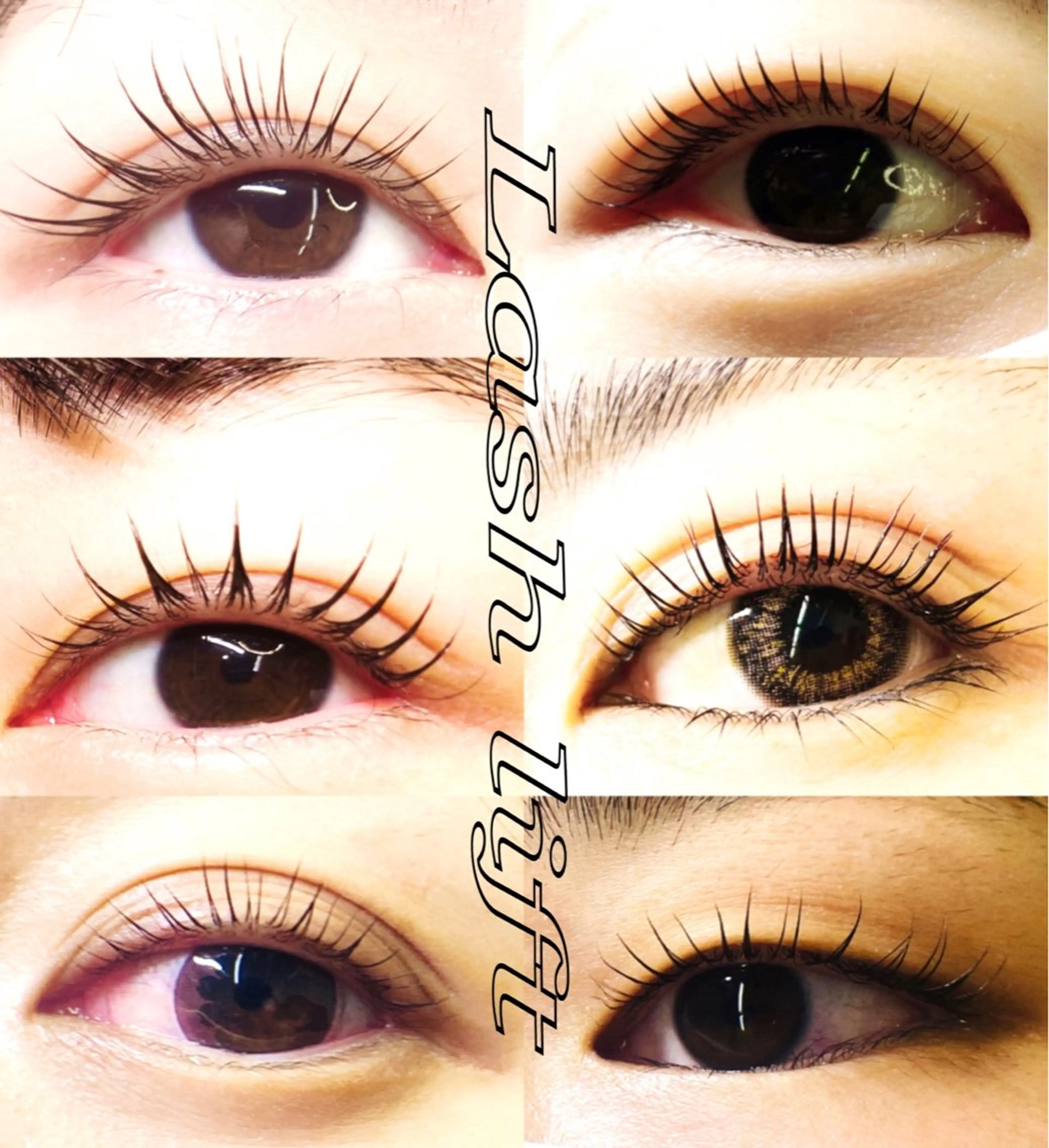 学割【U22】まつ毛パーマ　\ラッシュリフト　生ケラチン配合/  カールをかけながらトリートメント🌸の写真