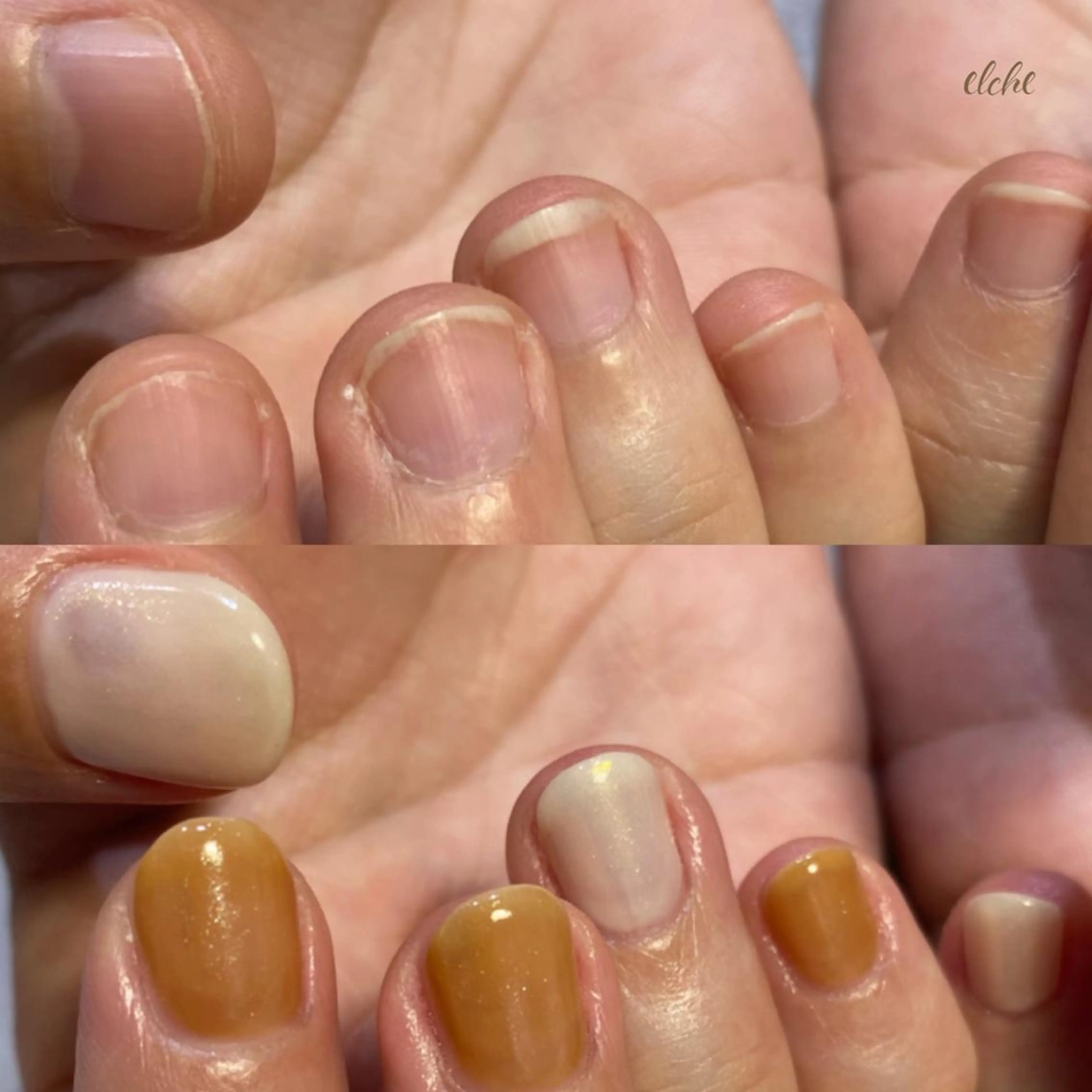 ネイル Rio 𓍼のネイルデザイン