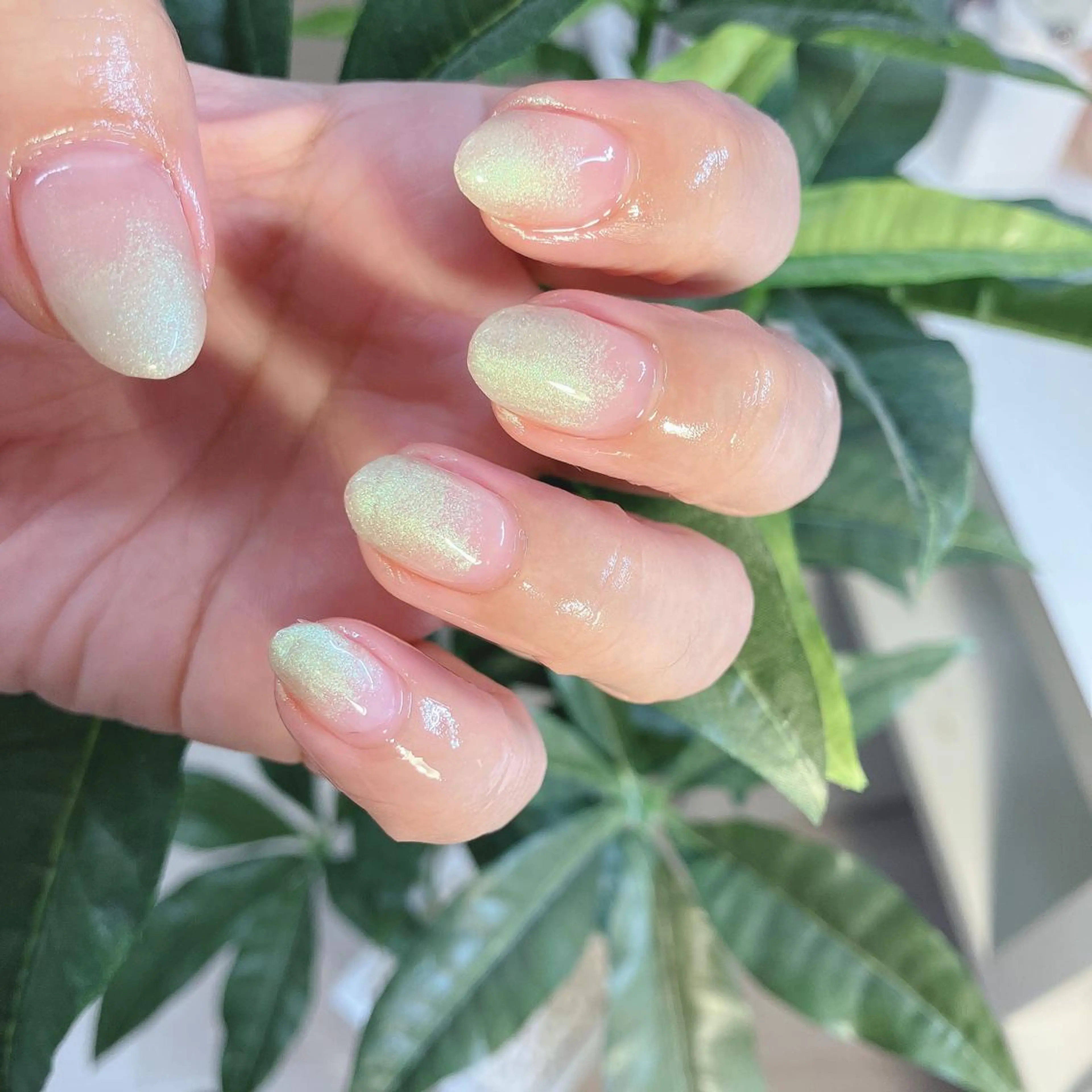 ネイル グラデーション ハンドネイル nails 🎀meのネイルデザイン