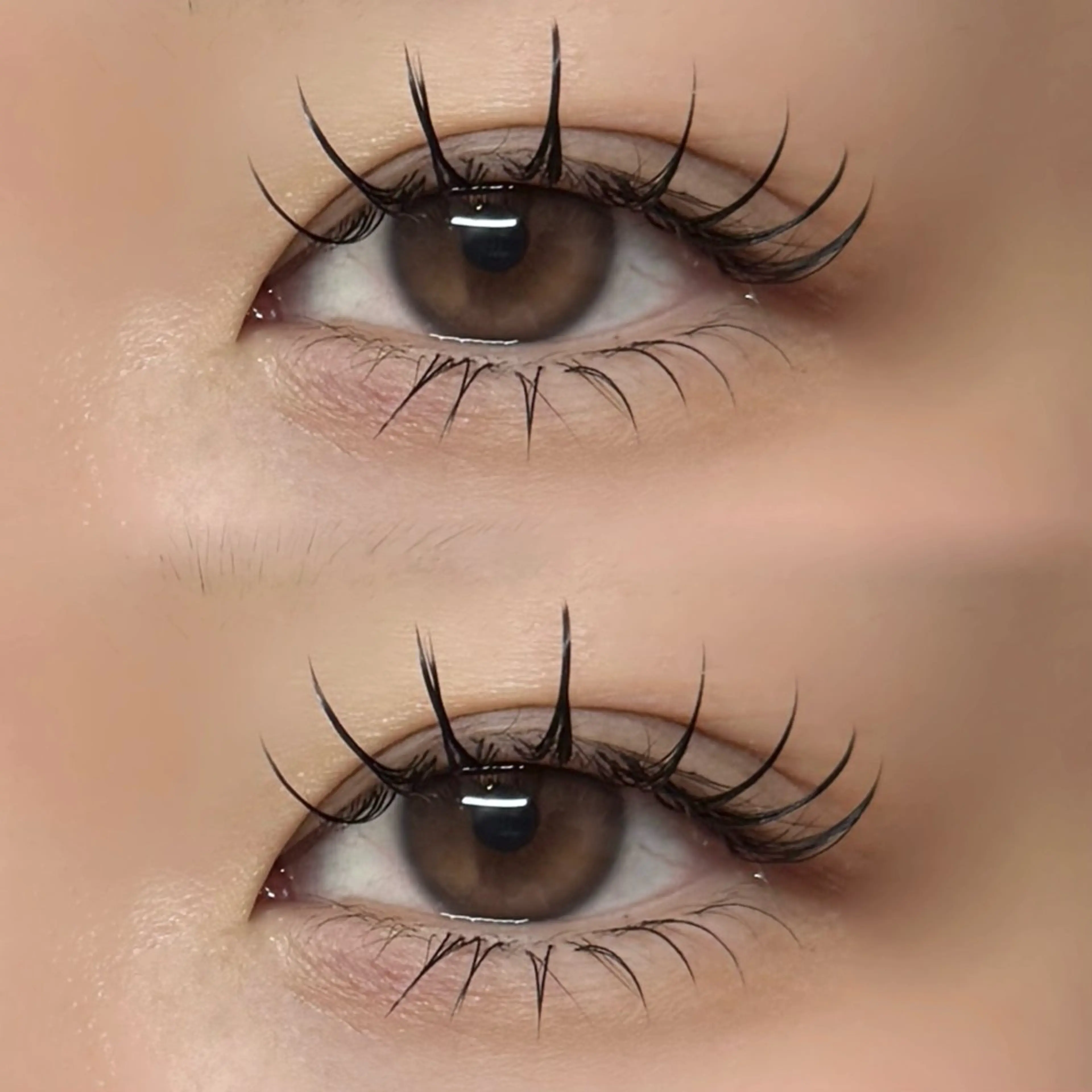 フラットラッシュ140本(オフ込)🎀¥5000の写真