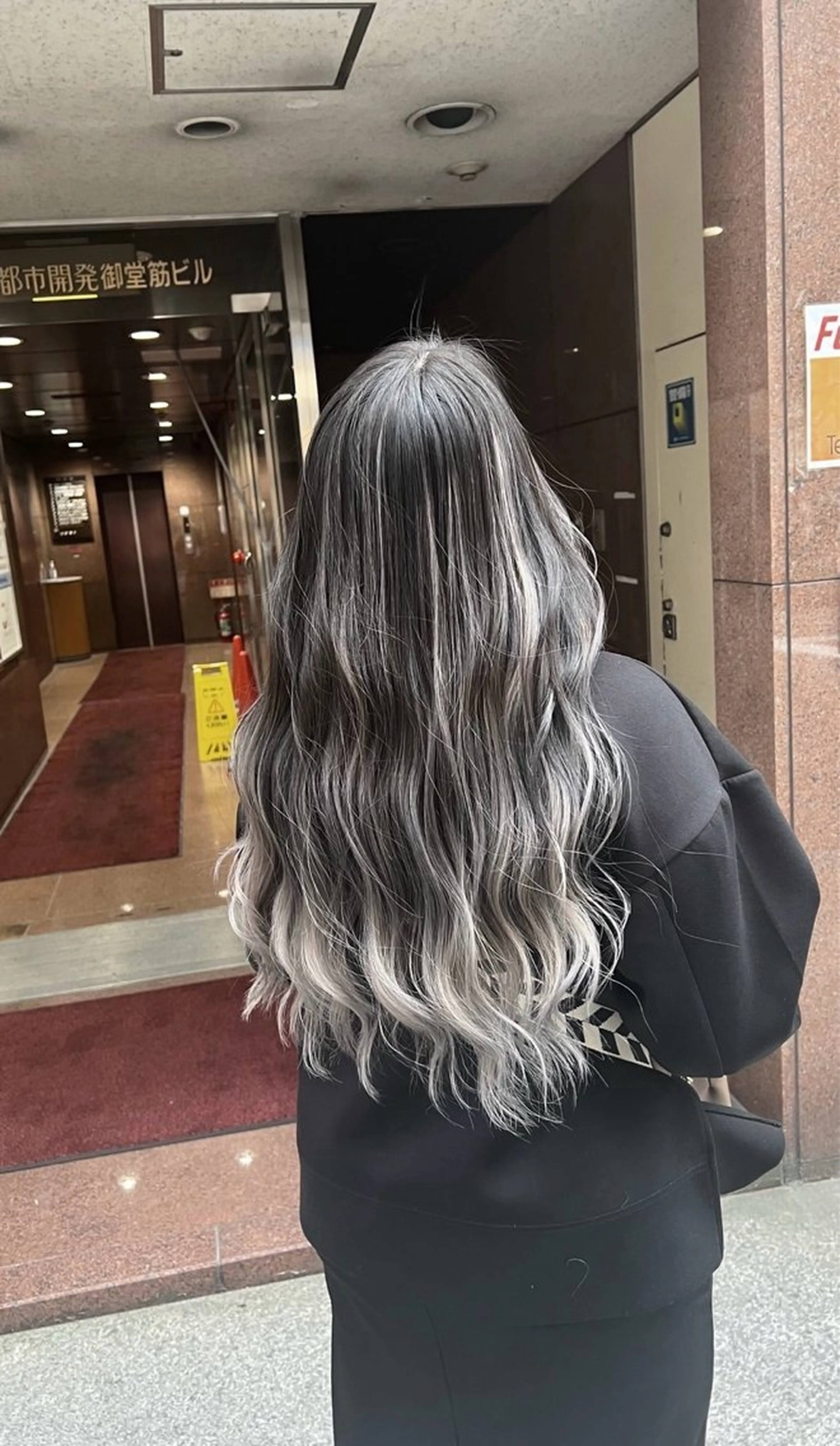 ロング カラー バレイヤージュ シルバー ホワイトシルバー レイヤーカット ヘアカラー トリートメント ROBIN所属・指名数No.1 /NAOYAのヘアスタイル