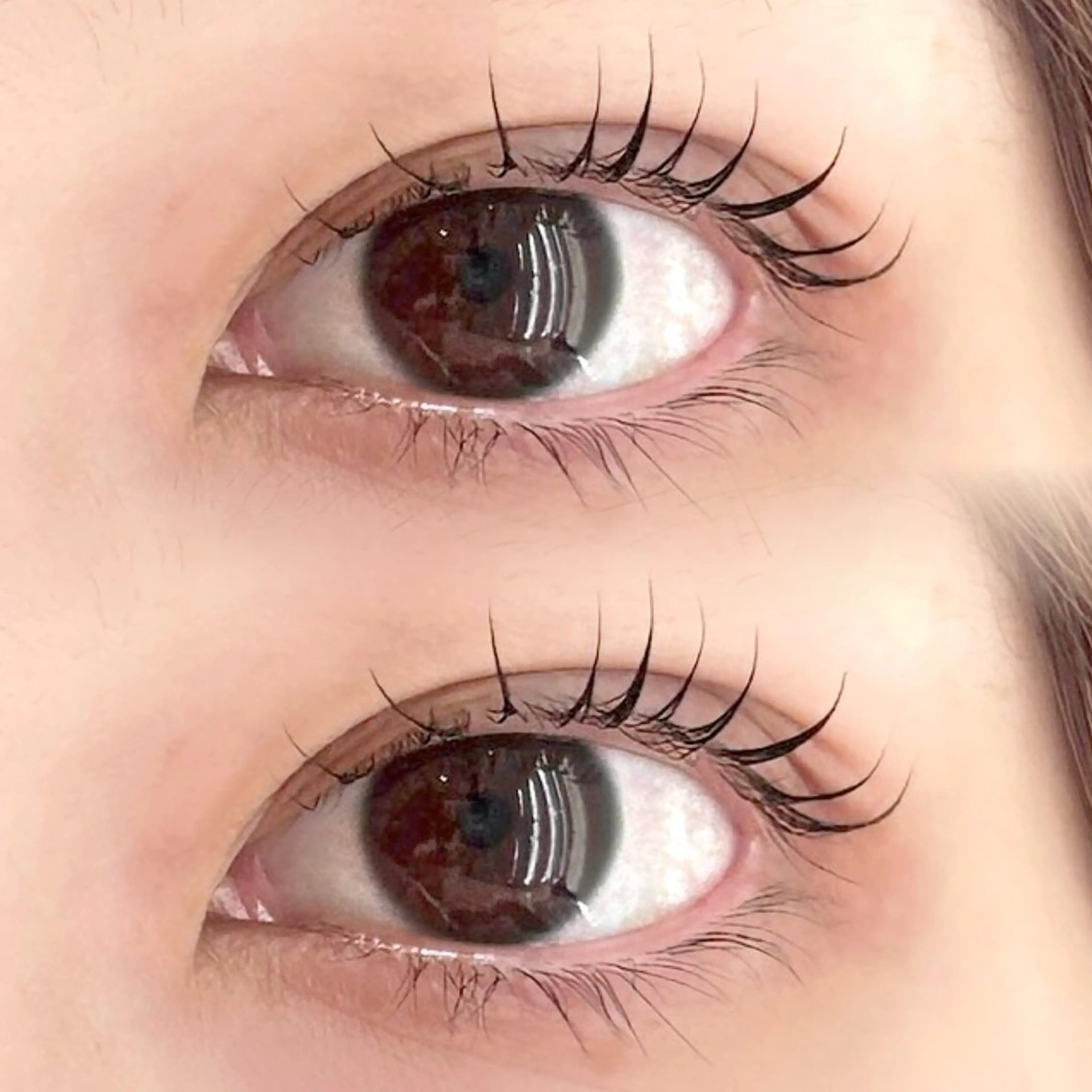 ラッシュリフト＆高濃度ケラチントリートメントの写真