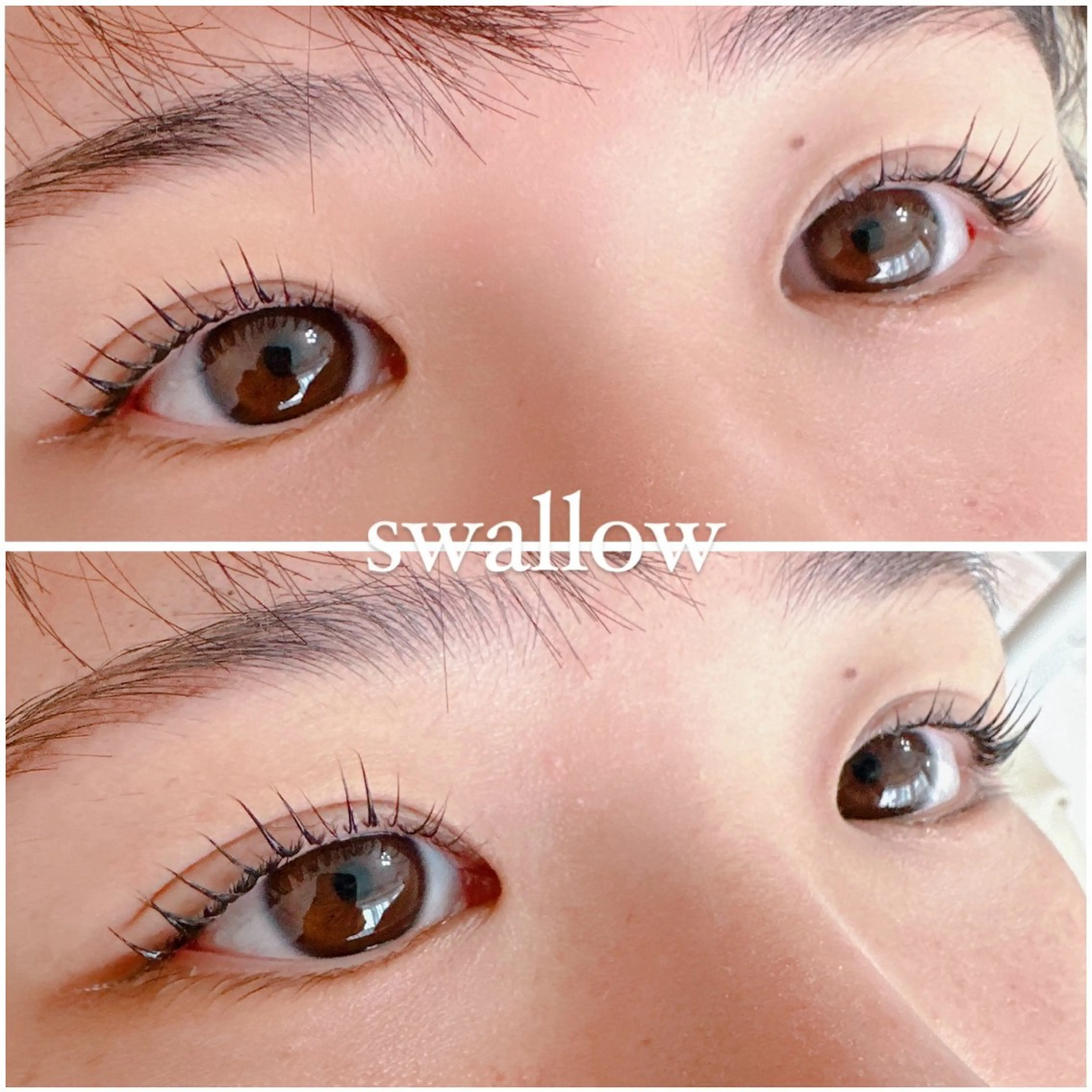 マツパ swallow 奈良西大寺店のマツエク・マツパデザイン