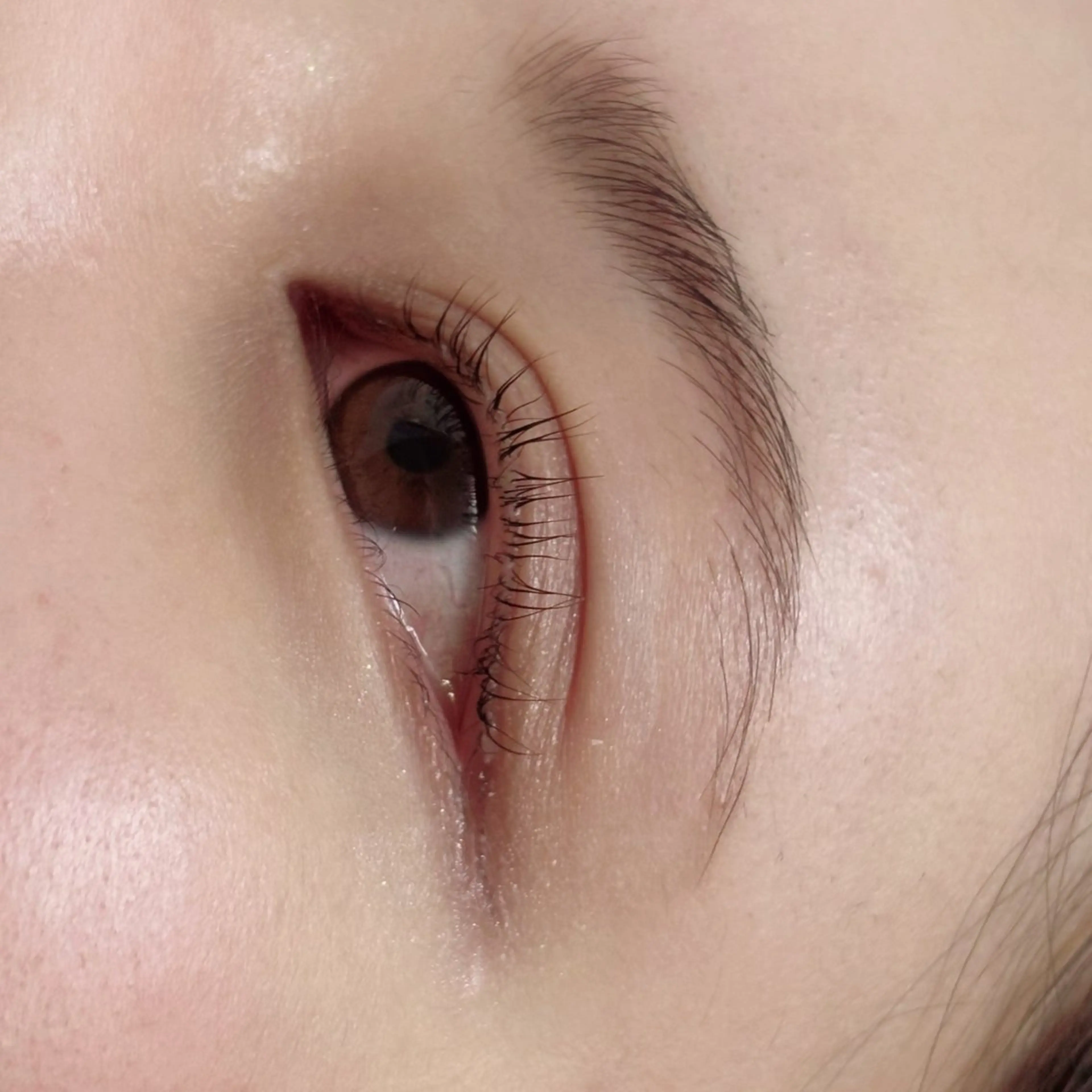 マツエク・マツパ 彩楓 /EYELA🪄ྀིのマツエク・マツパデザイン