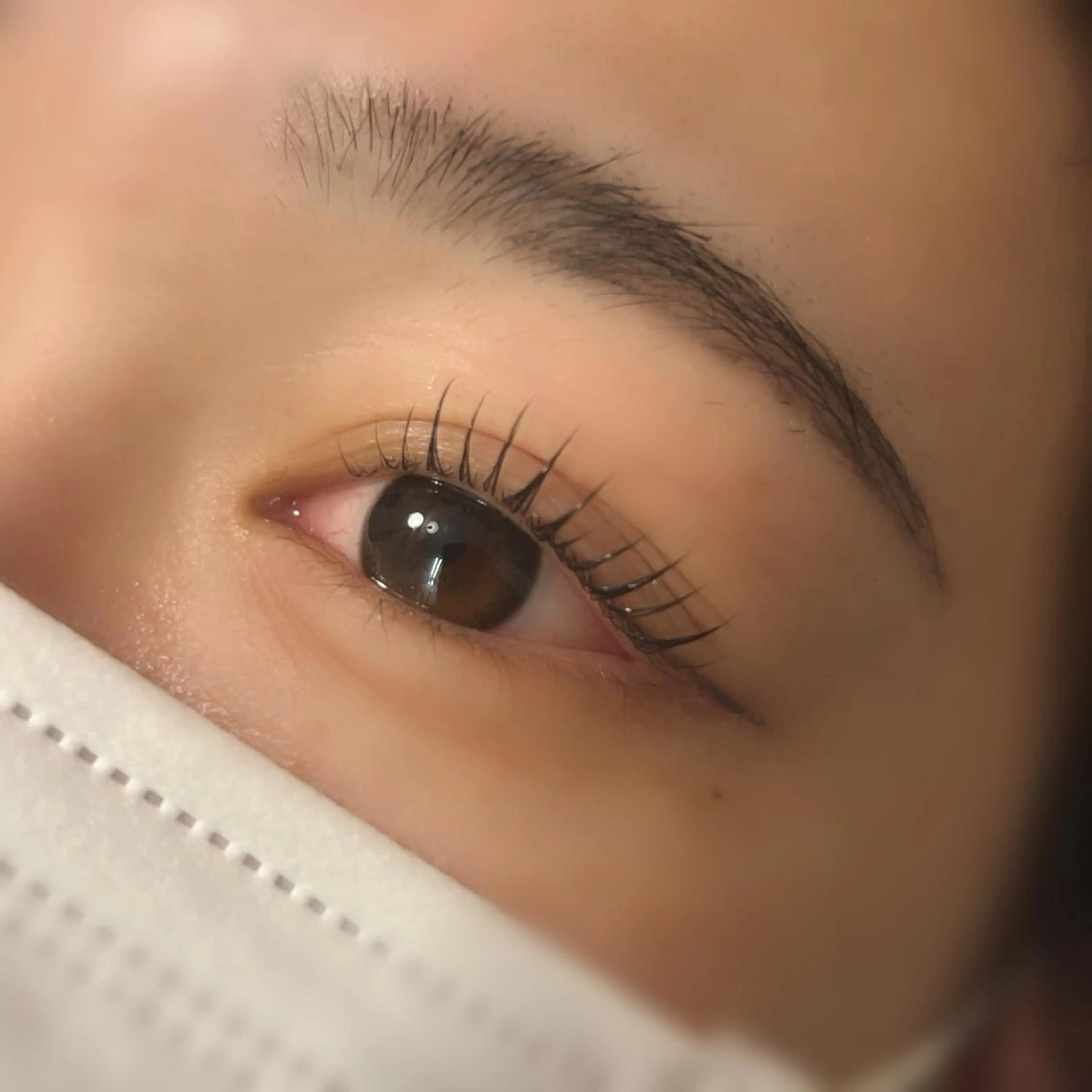 マツエク・マツパ マツパ lieu pré eyelashの眉毛・アイブロウイメージ