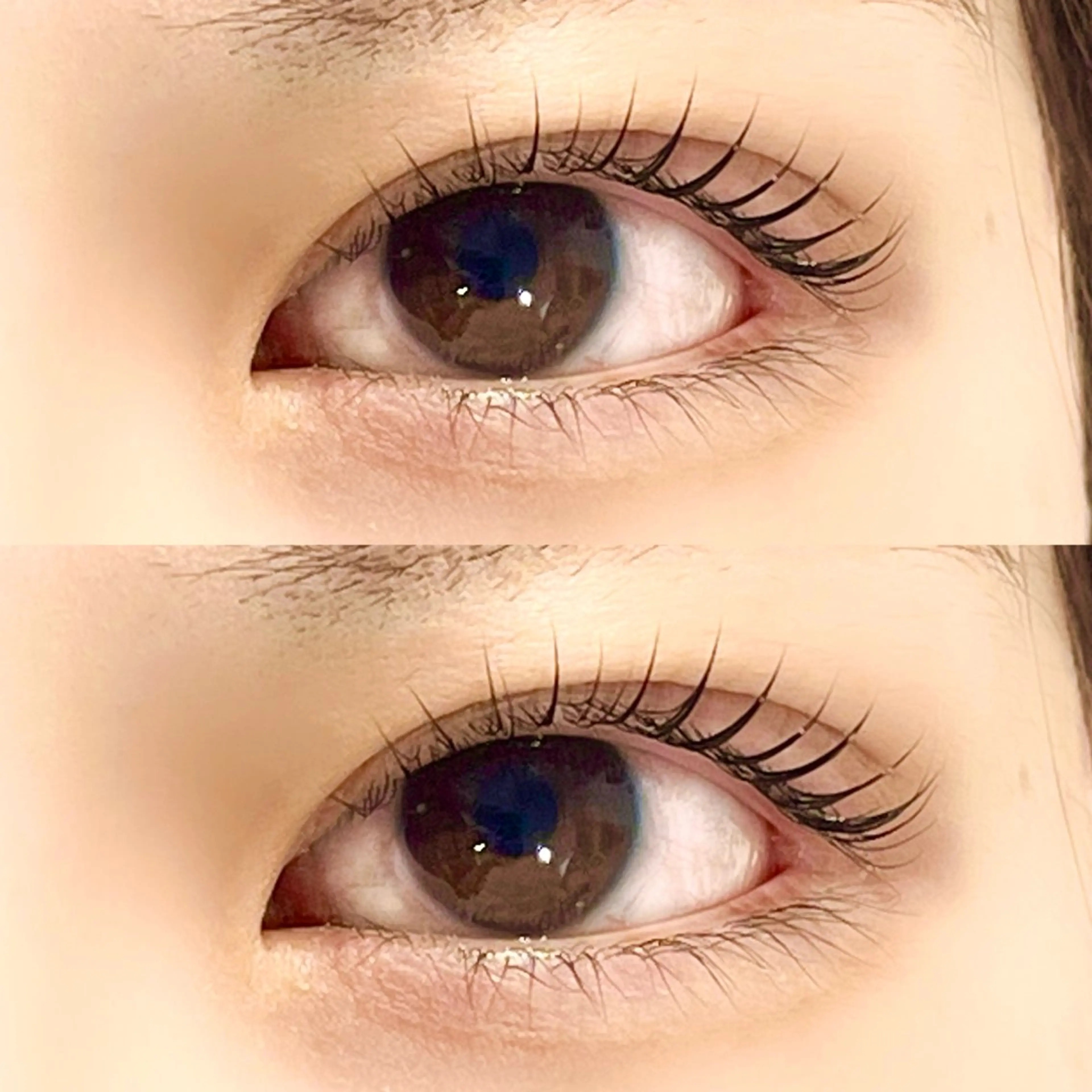 マツエク・マツパ 束感まつ毛 韓国風マツエク パリジェンヌラッシュリフト まつげパーマ 一重×まつ毛パーマ 仙台/束感まつげ💐 🎀Mizukiの眉毛・アイブロウイメージ
