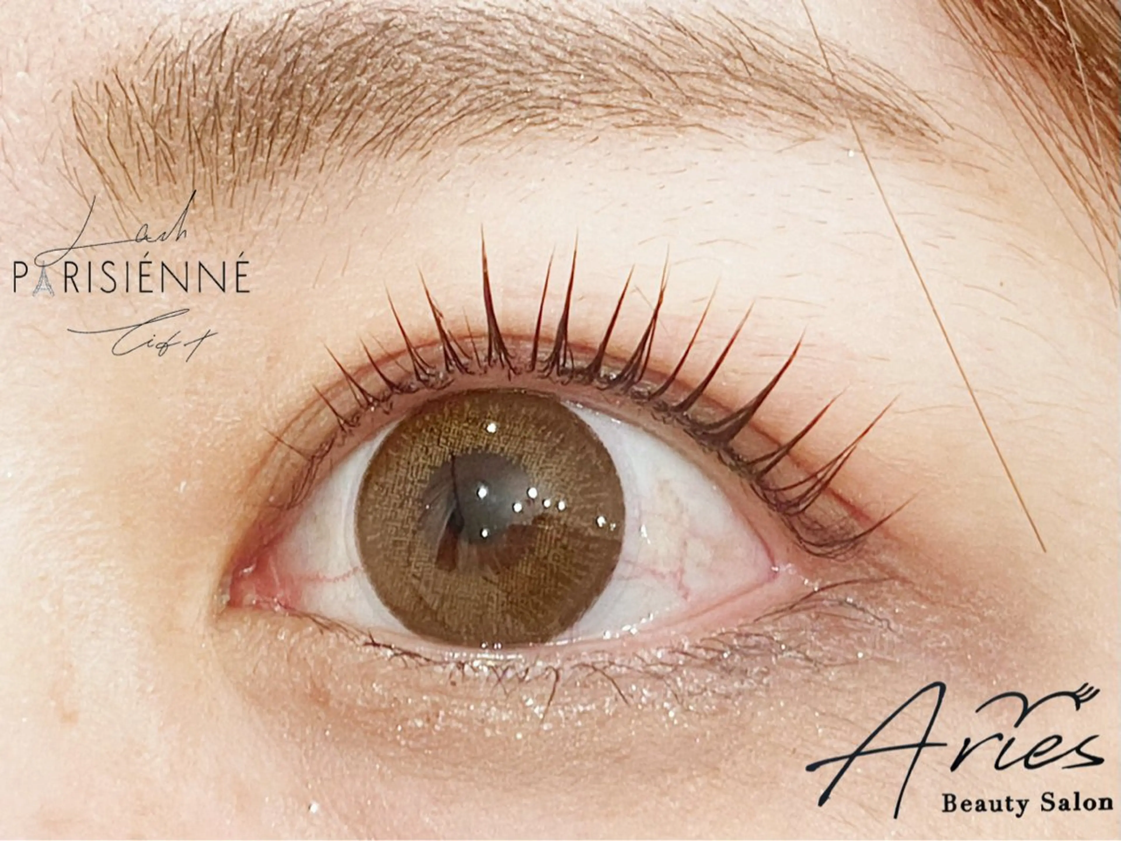 マツエク・マツパ Aries 心斎橋店のマツエク・マツパデザイン