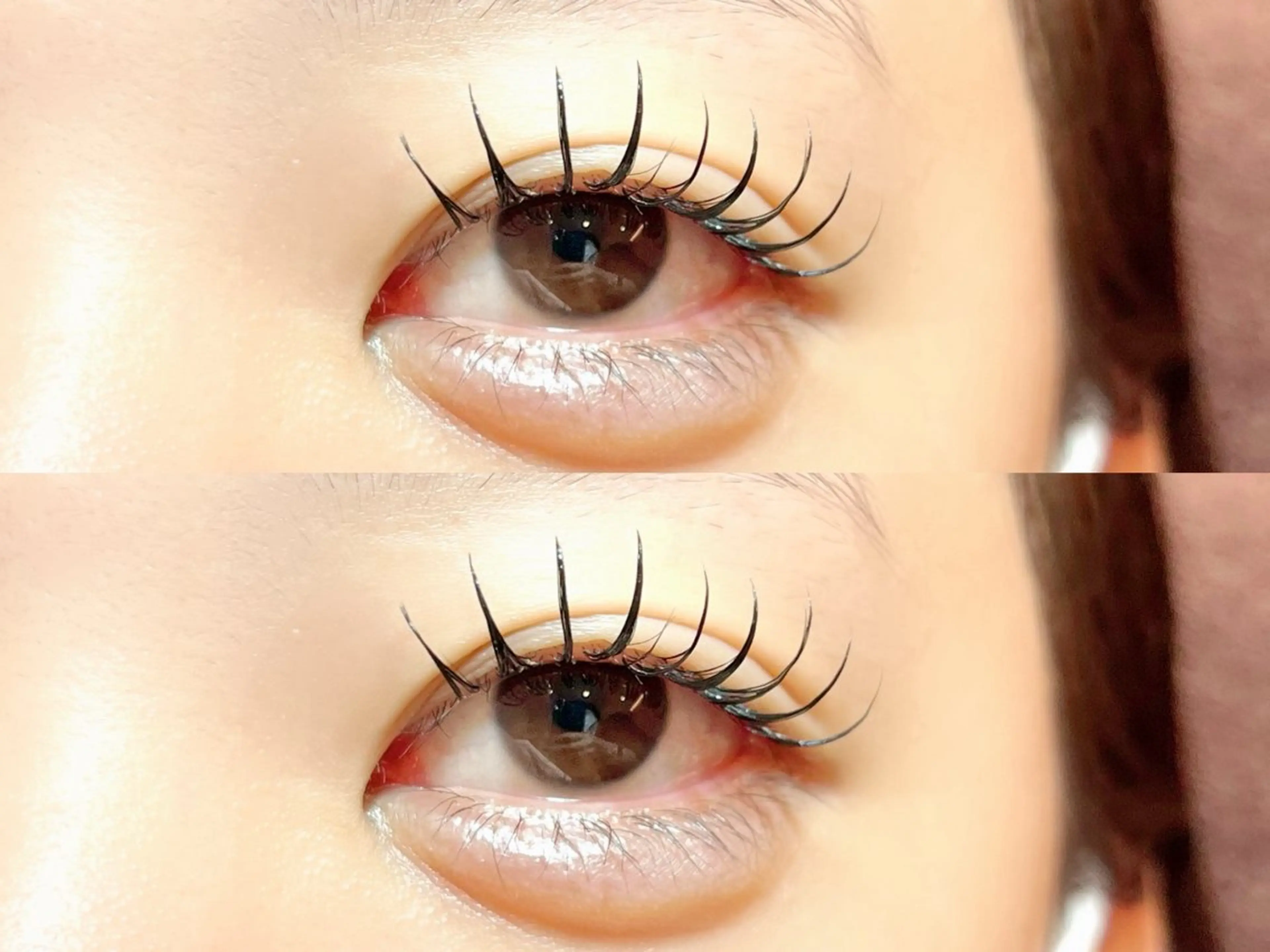 マツエク・マツパ マツエク sola: neolive山崎のマツエク・マツパデザイン