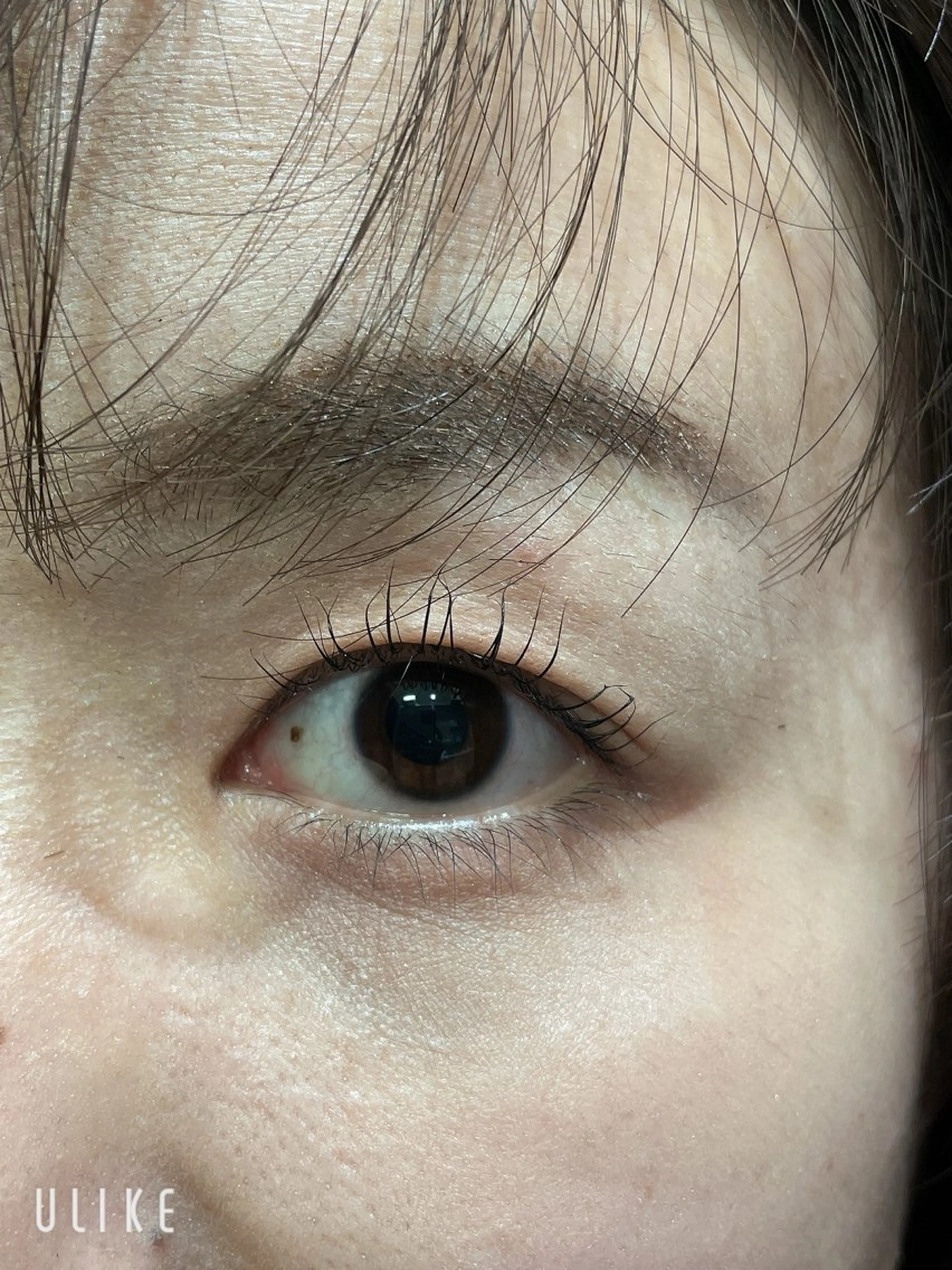 マツエク・マツパ 井上 真里奈のヘアスタイル