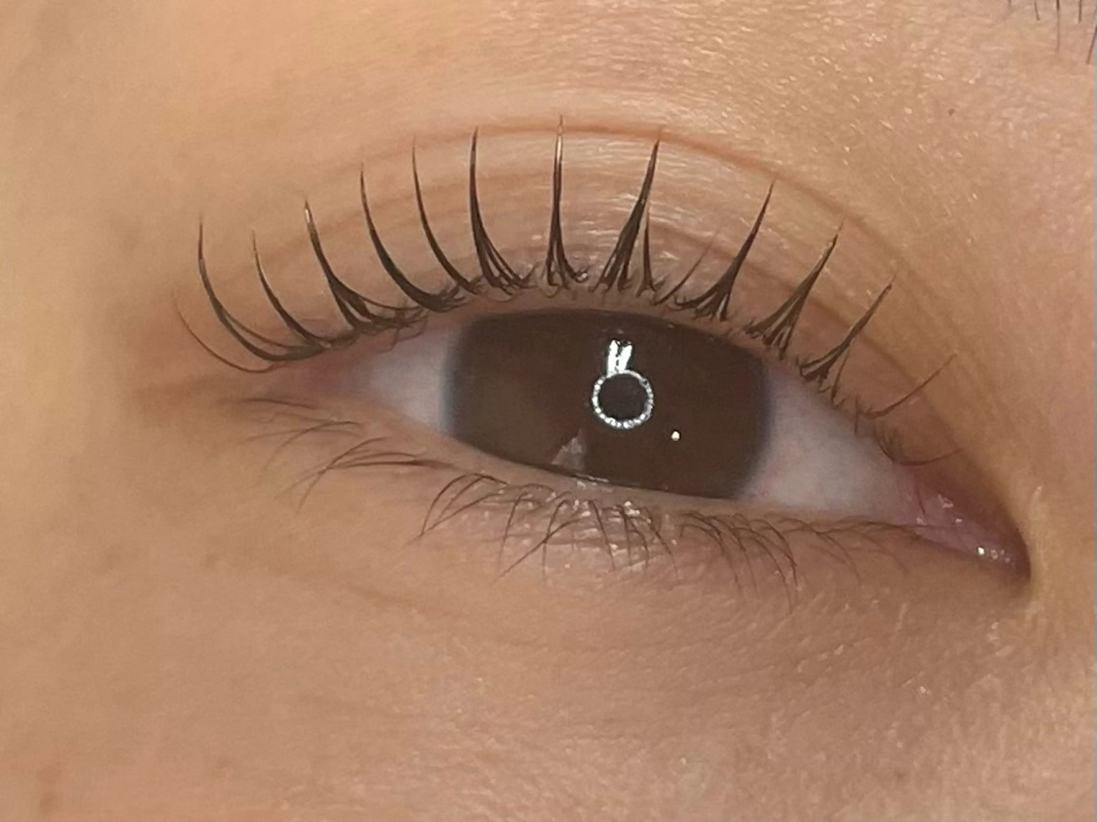 マツエク・マツパ マツパ eyelash CLAYの眉毛・アイブロウイメージ