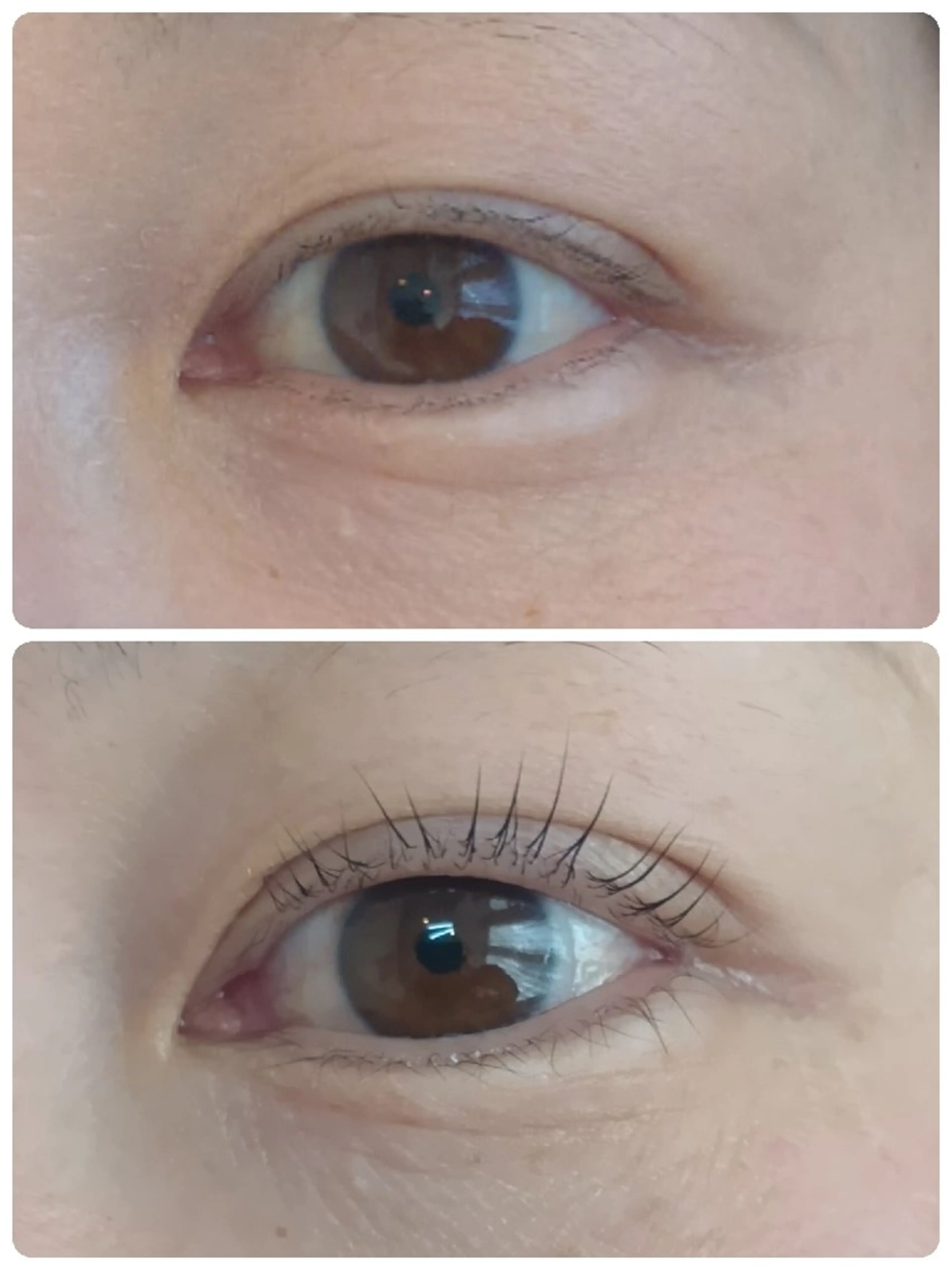 マツエク・マツパ Cカール まつげパーマ マツパ アリィ つつじヶ丘のエステ・リラクイメージ