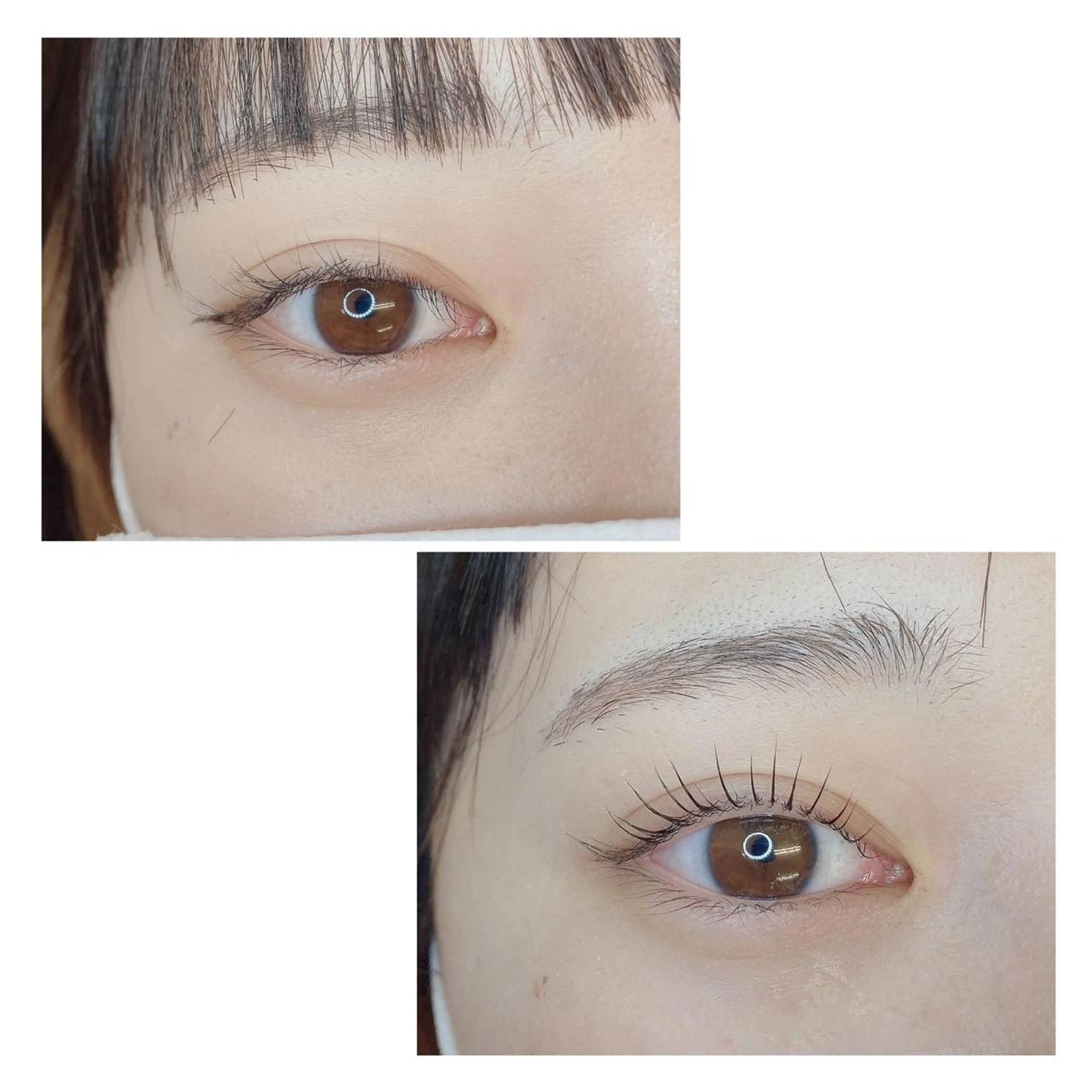 マツエク・マツパ TIARA池袋西口店 店長YASUKA💐のマツエク・マツパデザイン