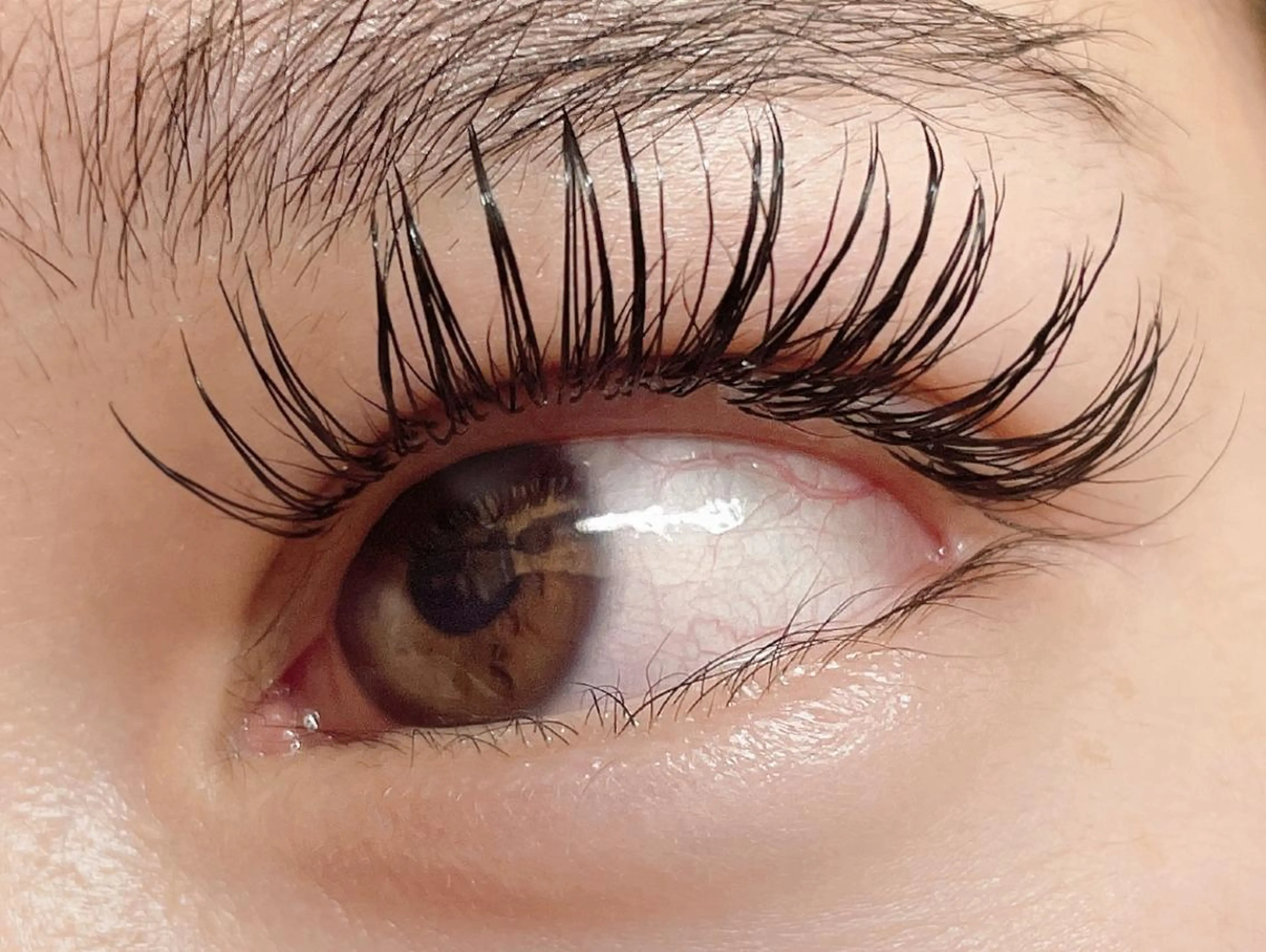 マツエク・マツパ マツエク princess 森 碧海のマツエク・マツパデザイン