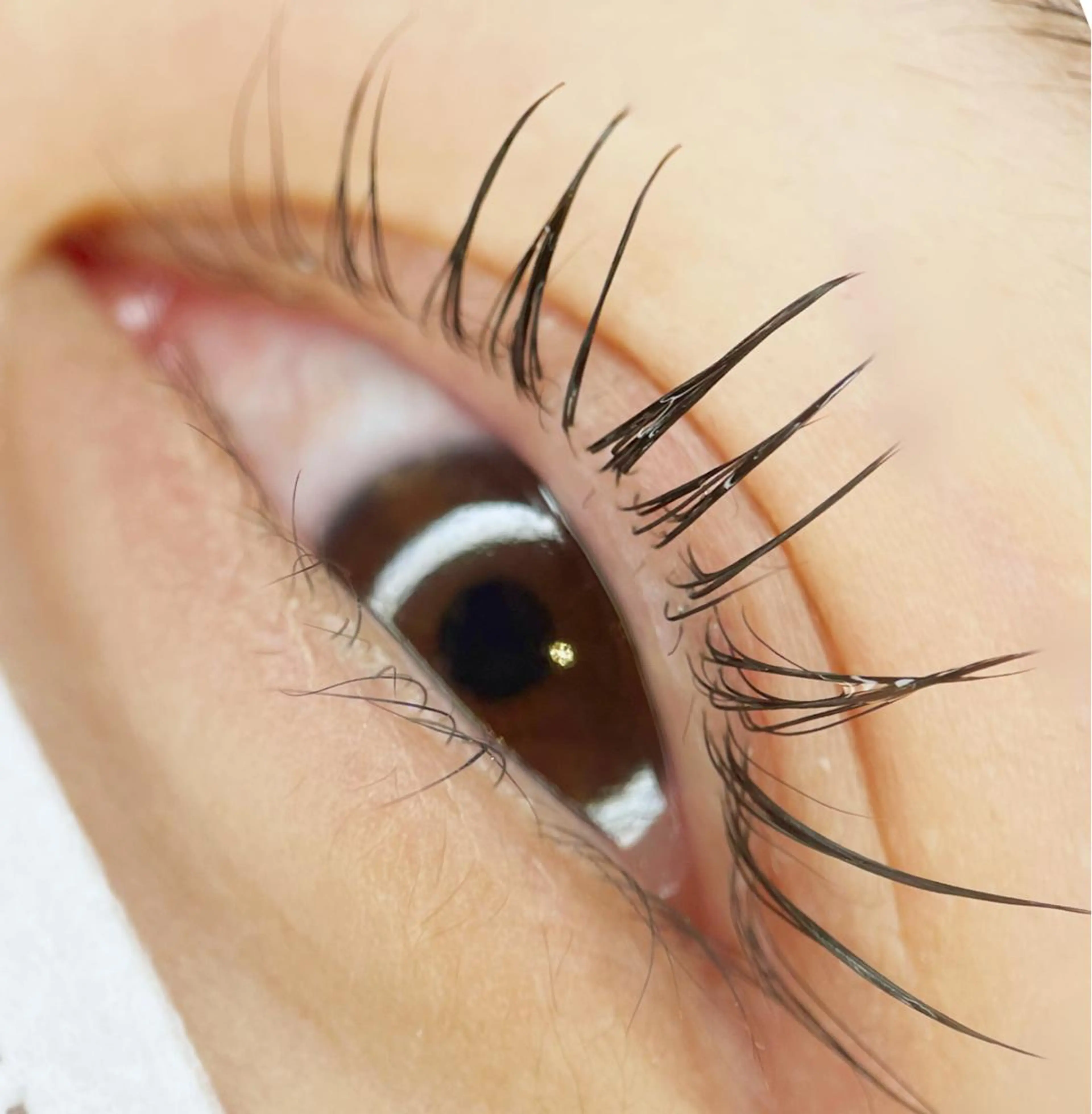 マツエク・マツパ マツパ 山城 エスタの眉毛・アイブロウイメージ