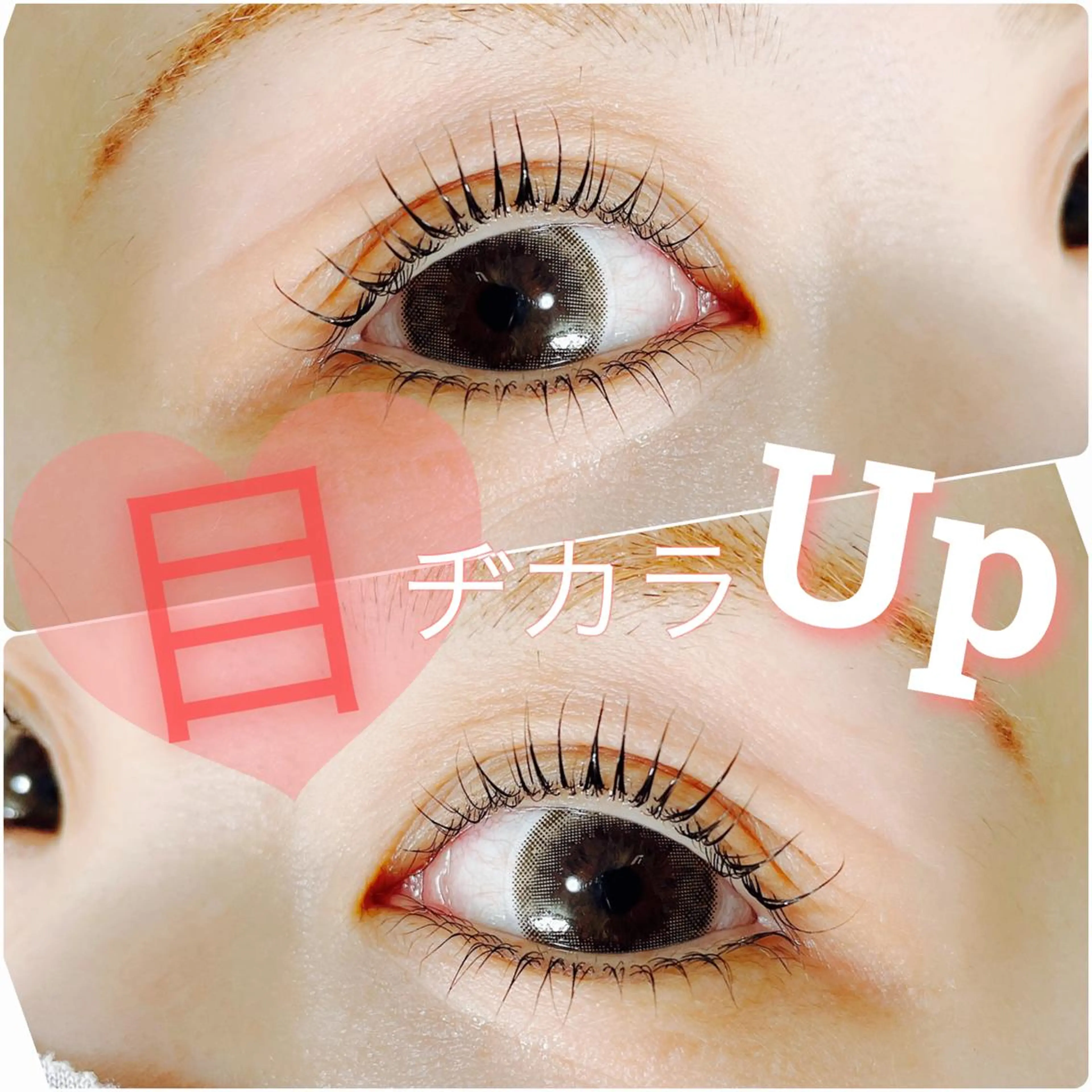 マツエク・マツパ プル eyelashのマツエク・マツパデザイン