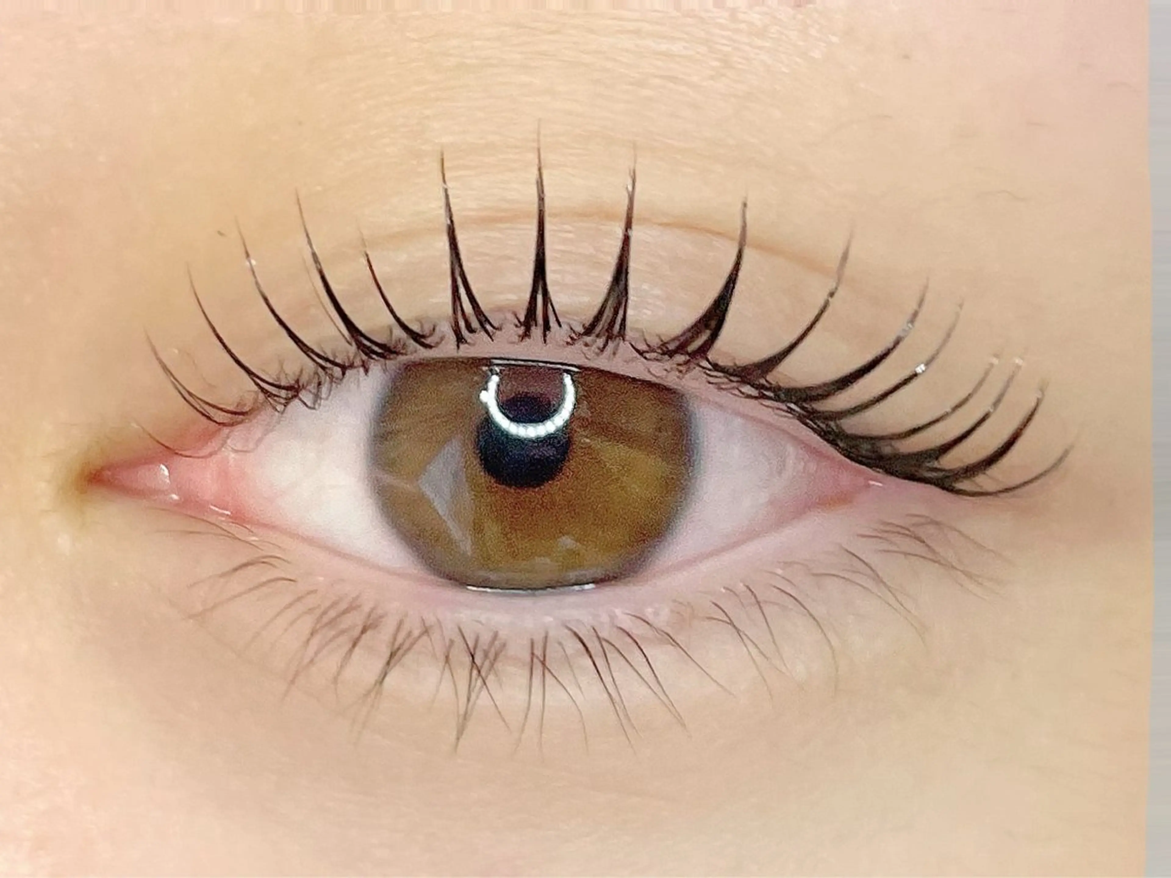 マツエク・マツパ マツパ eyelash CLAYの眉毛・アイブロウイメージ