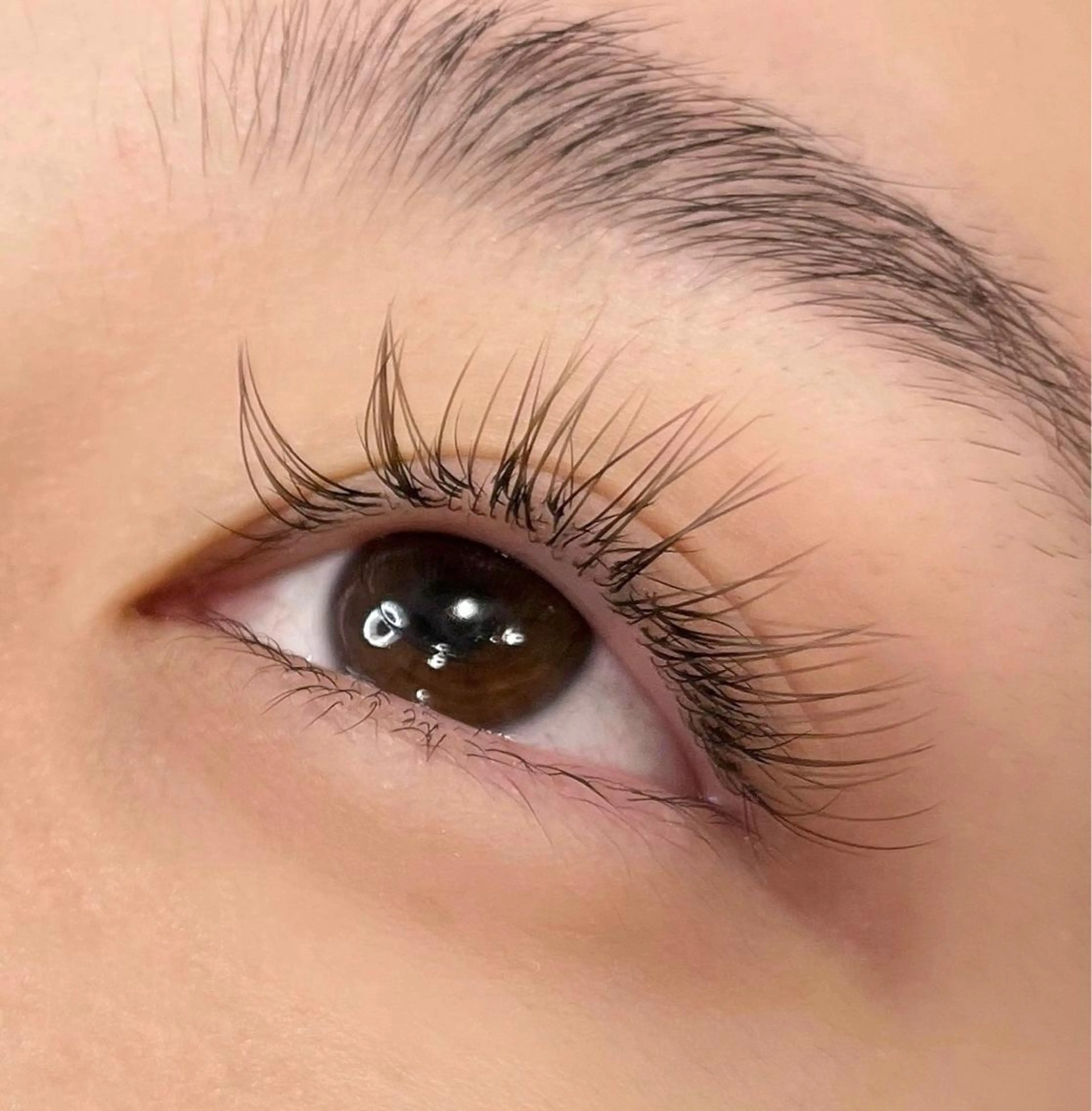 ブラウンエクステ80本⭐(オフ込み)の写真