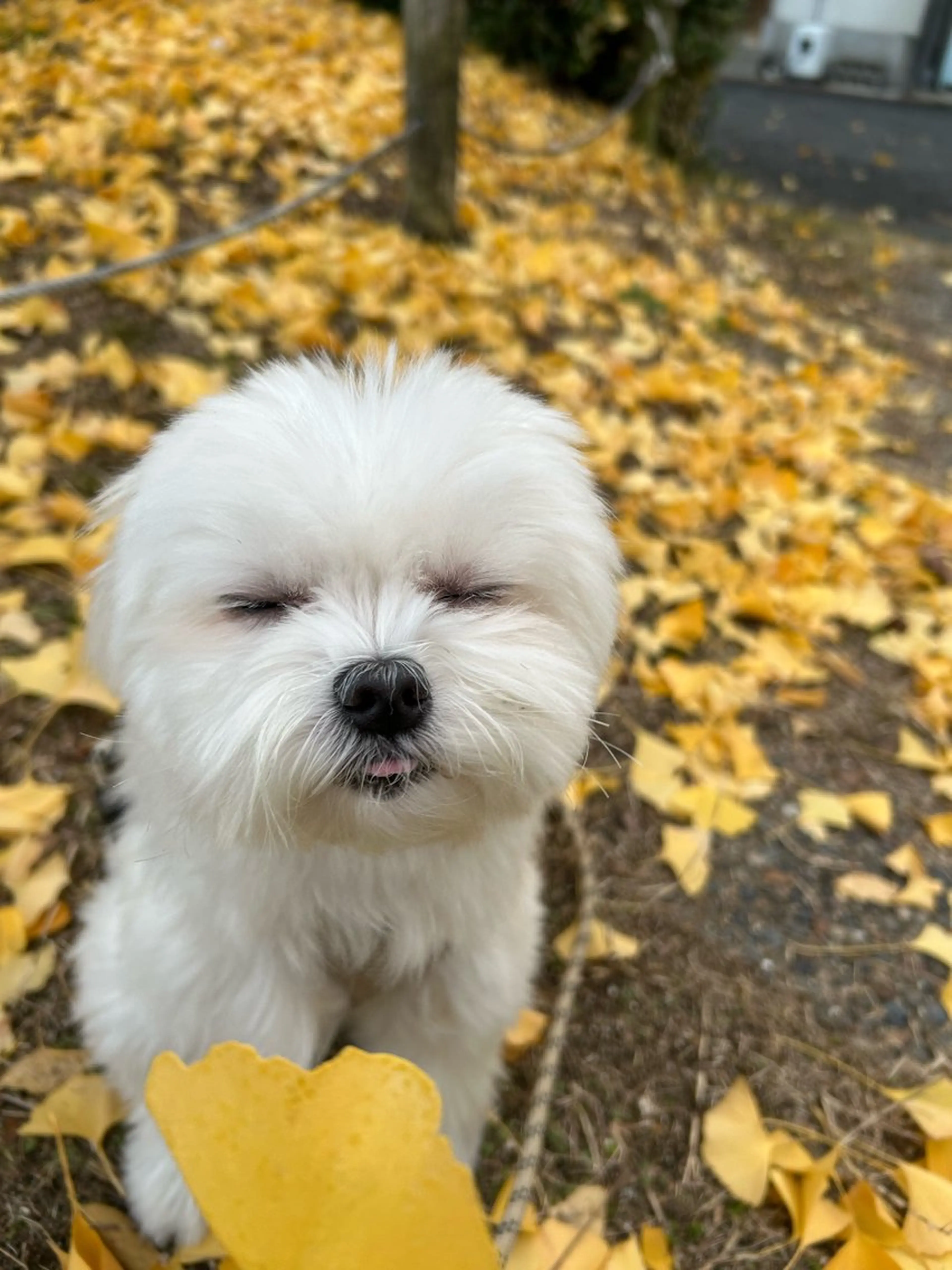 リラク 小顔×肌質改善サロン soin〔ソワン〕のエステ・リラクイメージ