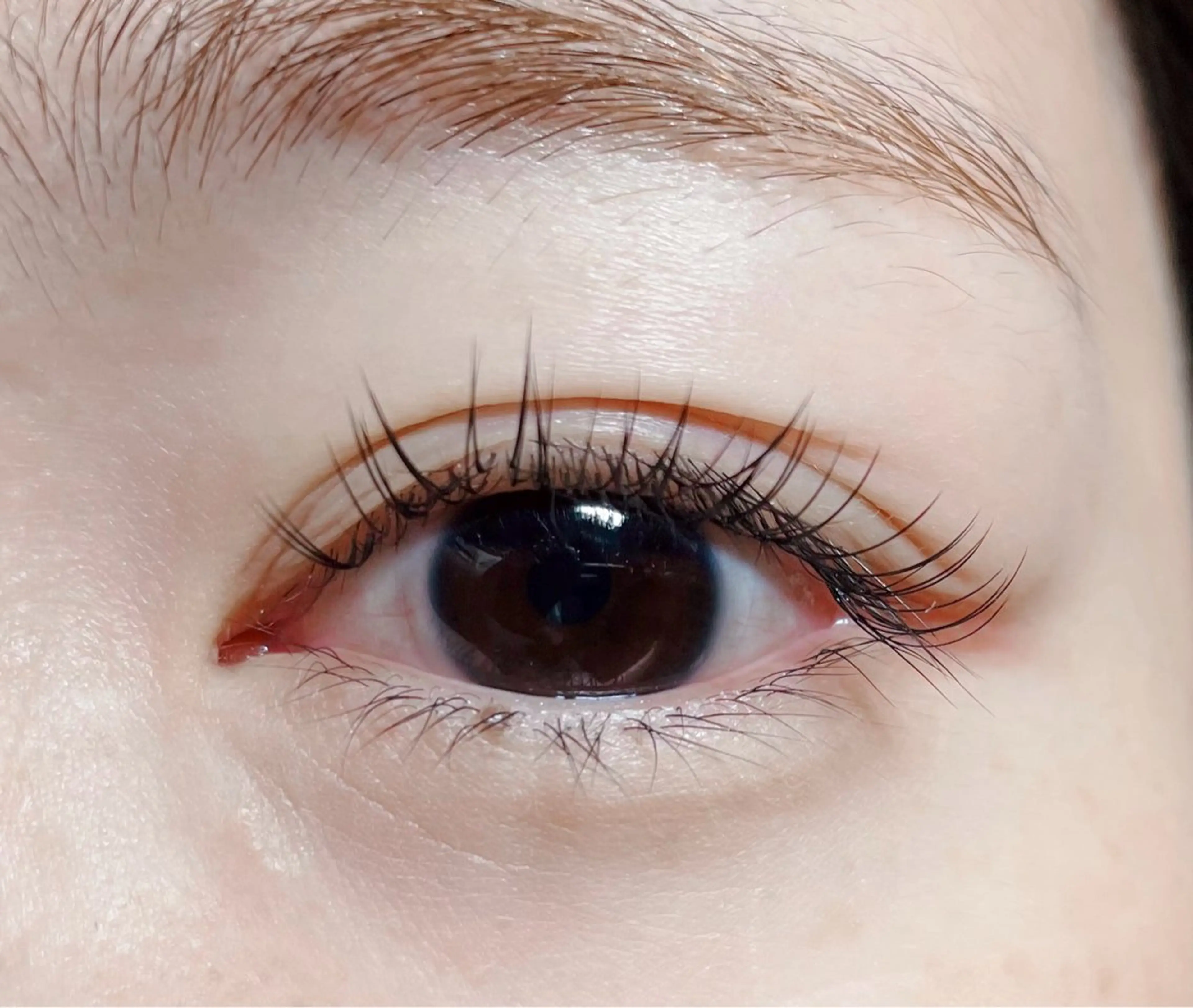 上フラットラッシュ100本オフ込み¥3500※上下エクステ¥6000(下40本まで)の写真