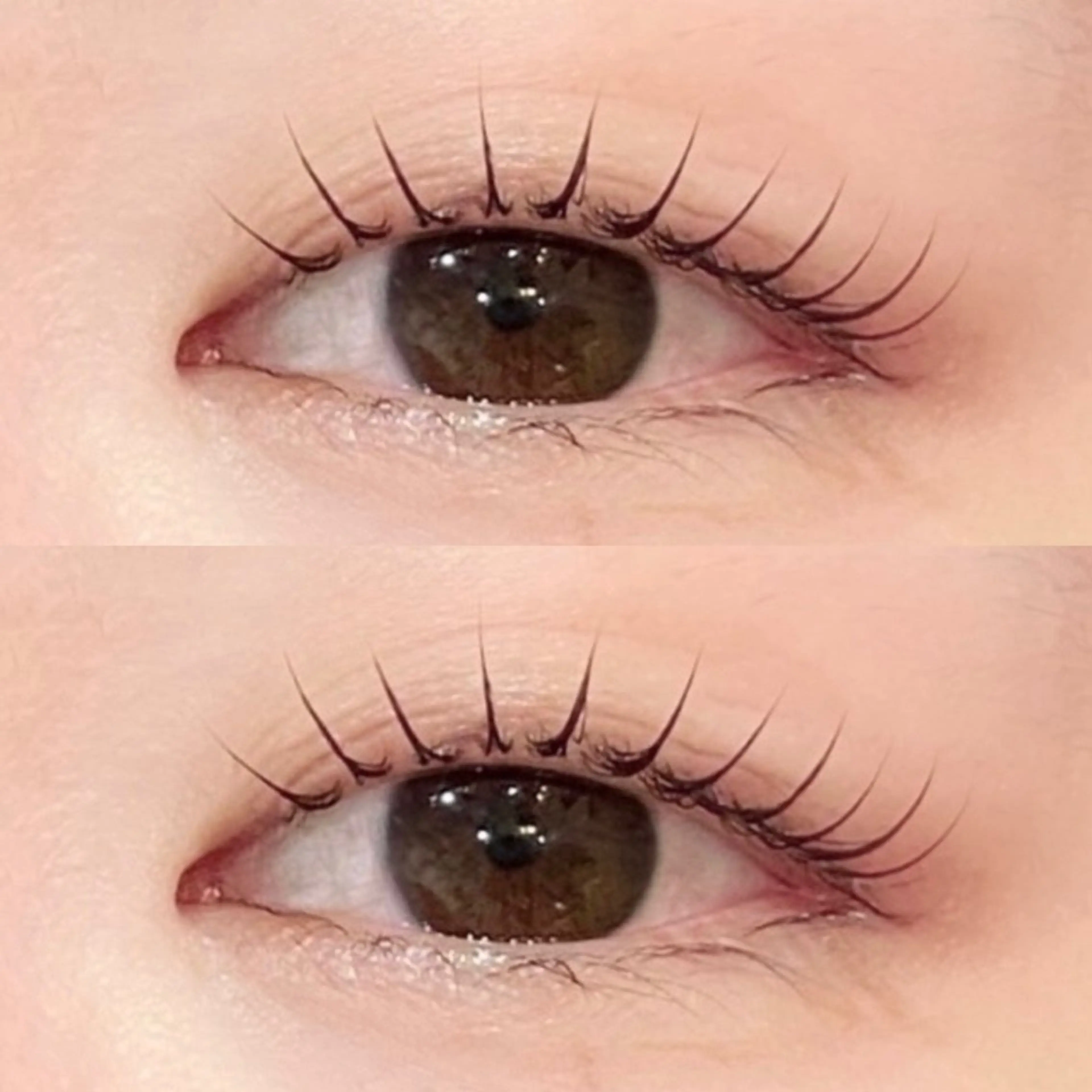 コスメラッシュリフト６回チケット🎟️の写真