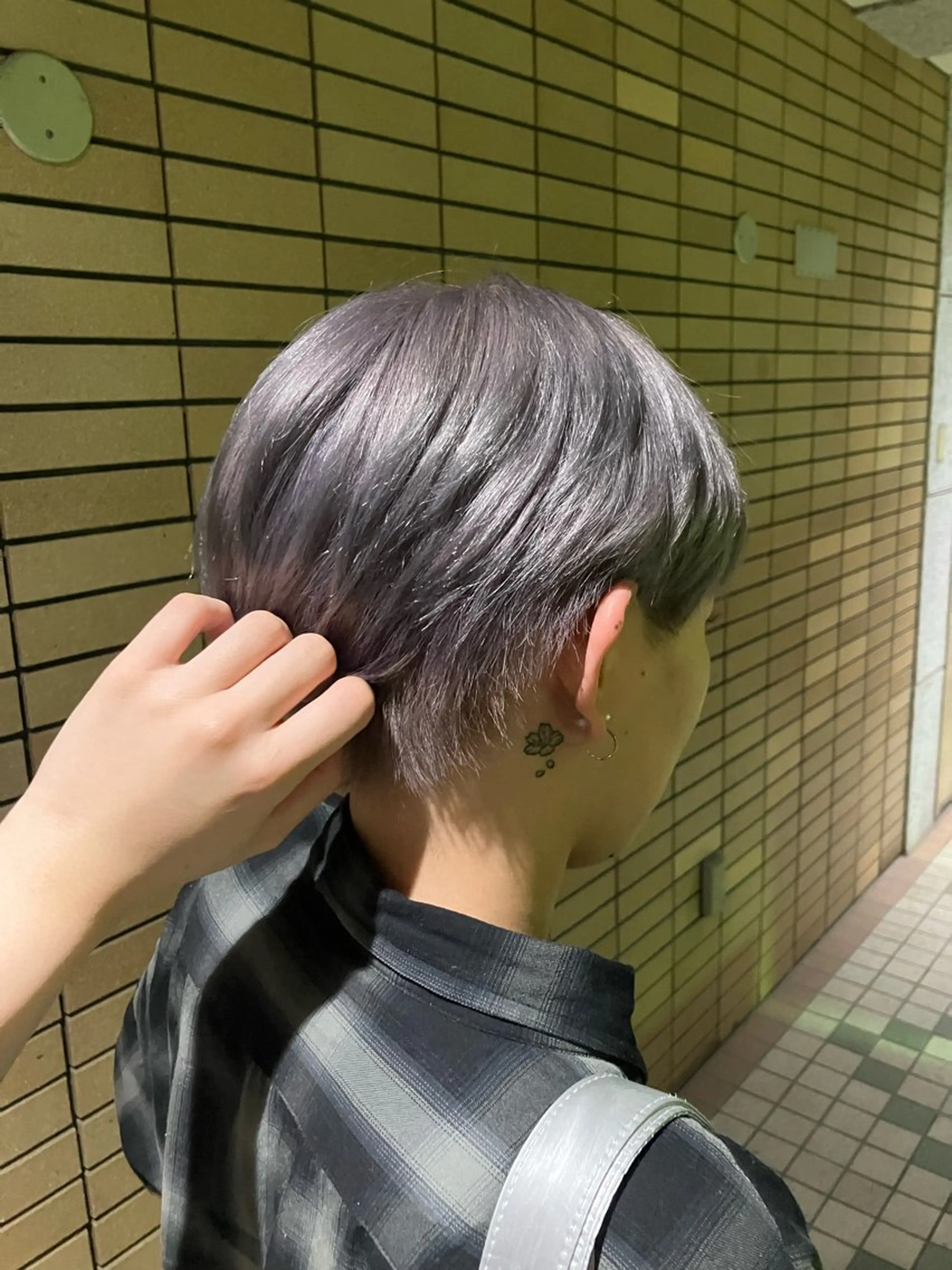 ショート カラー シルバー ツボイ マホのヘアスタイル
