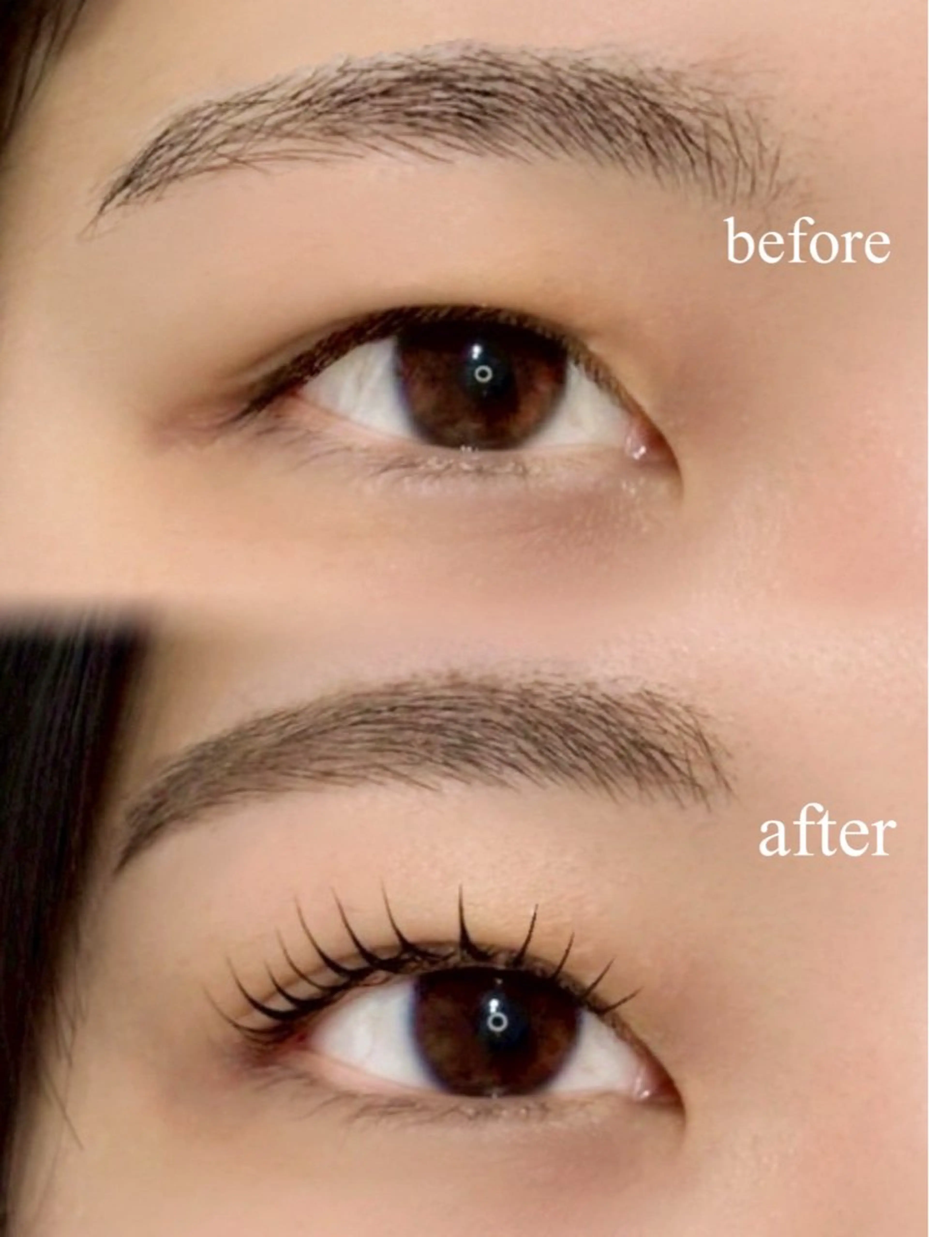 マツエク・マツパ Luna Brow YUMEのマツエク・マツパデザイン