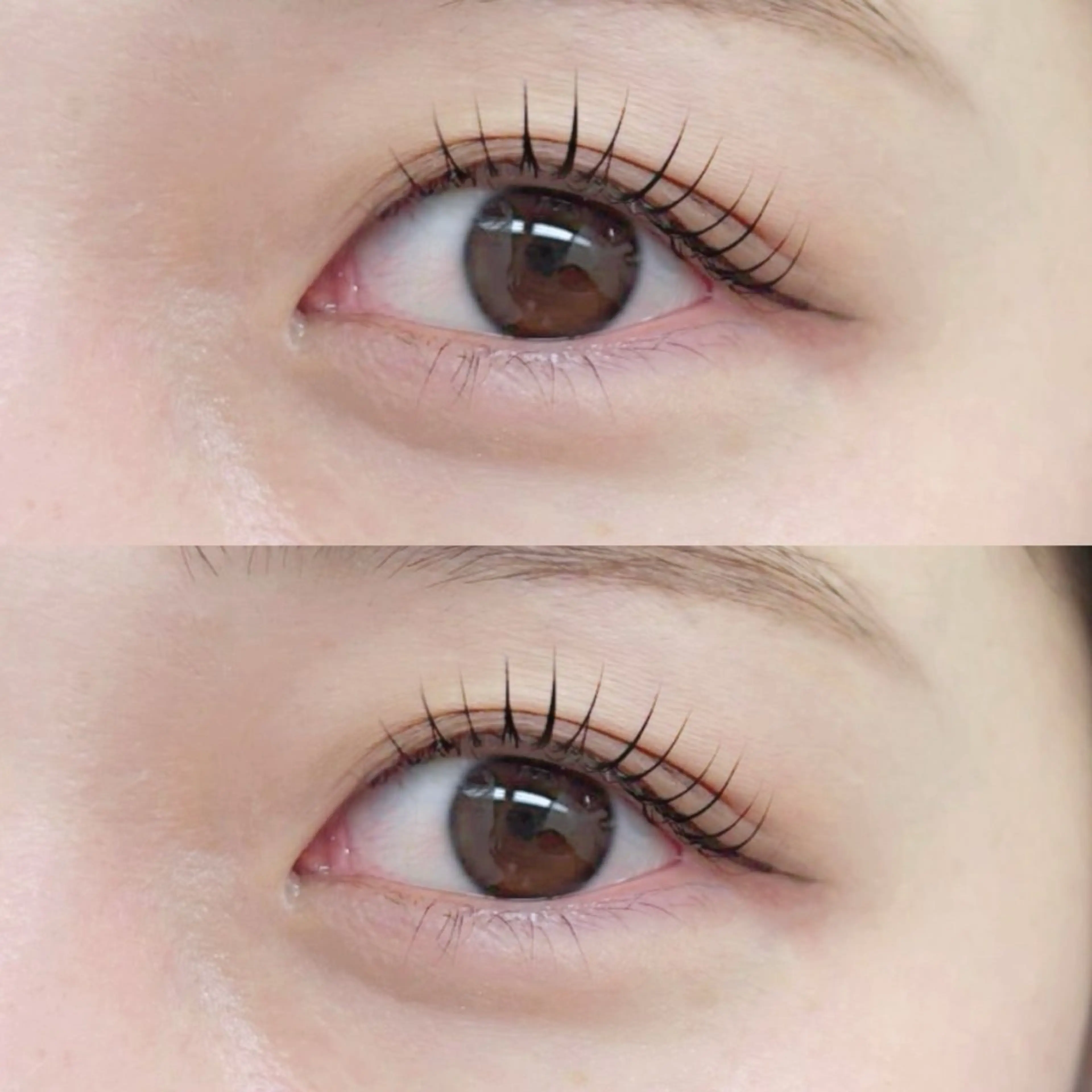 パリジェンヌ✨or Cカール✨無料モデル🍒⚠️27日2名様限定💖所要時間75分ほどいただいております！の写真