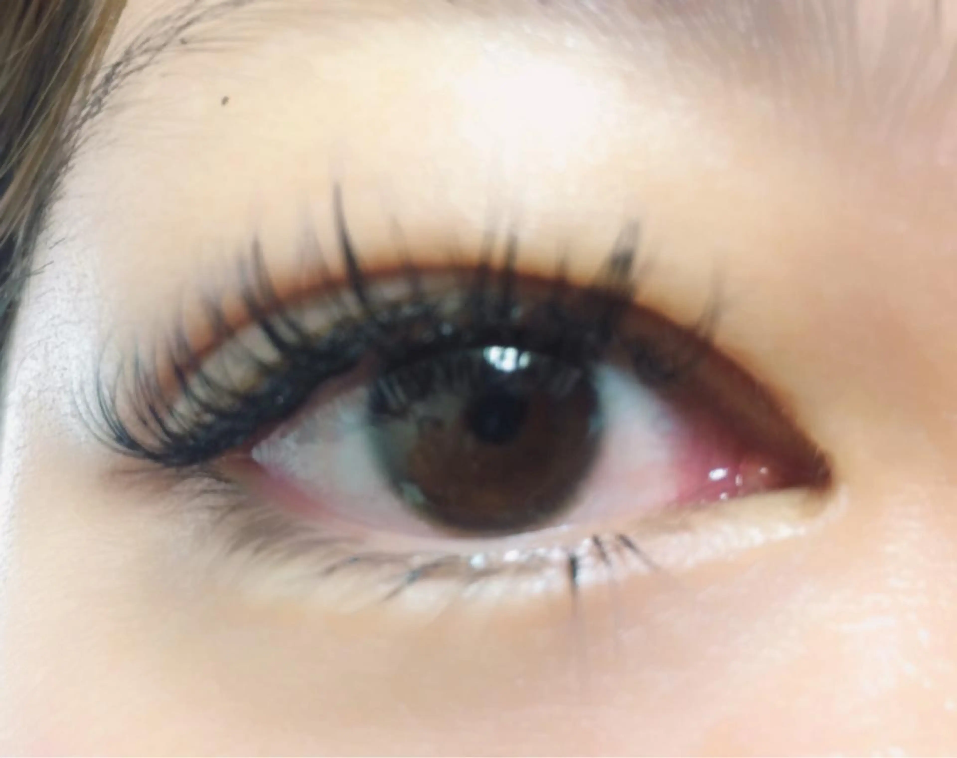 マツエク・マツパ Cカール キュート Allybell🫧 Annaのマツエク・マツパデザイン