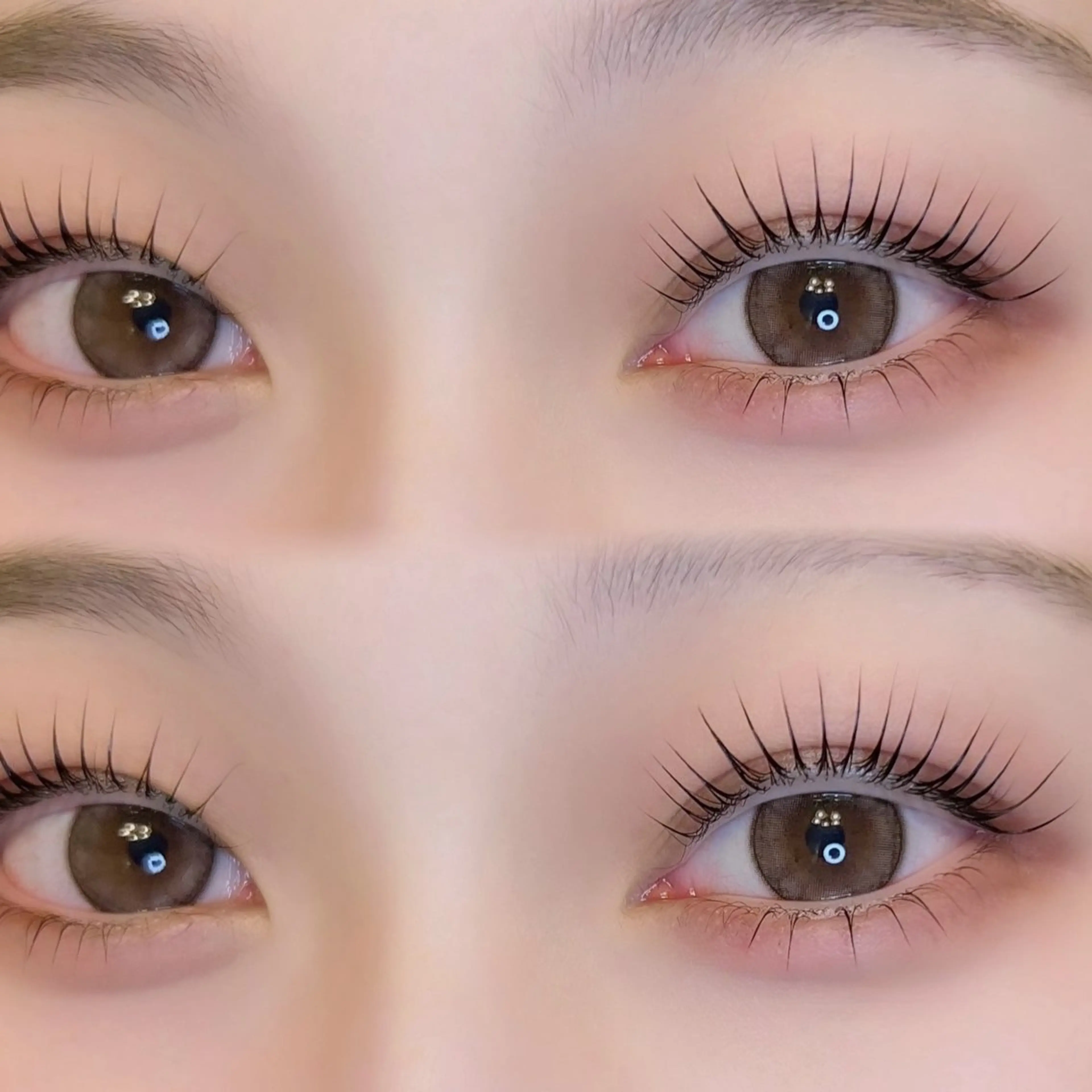 🫧🐰ྀི上下まつ毛パーマ🐰ྀི🫧の写真